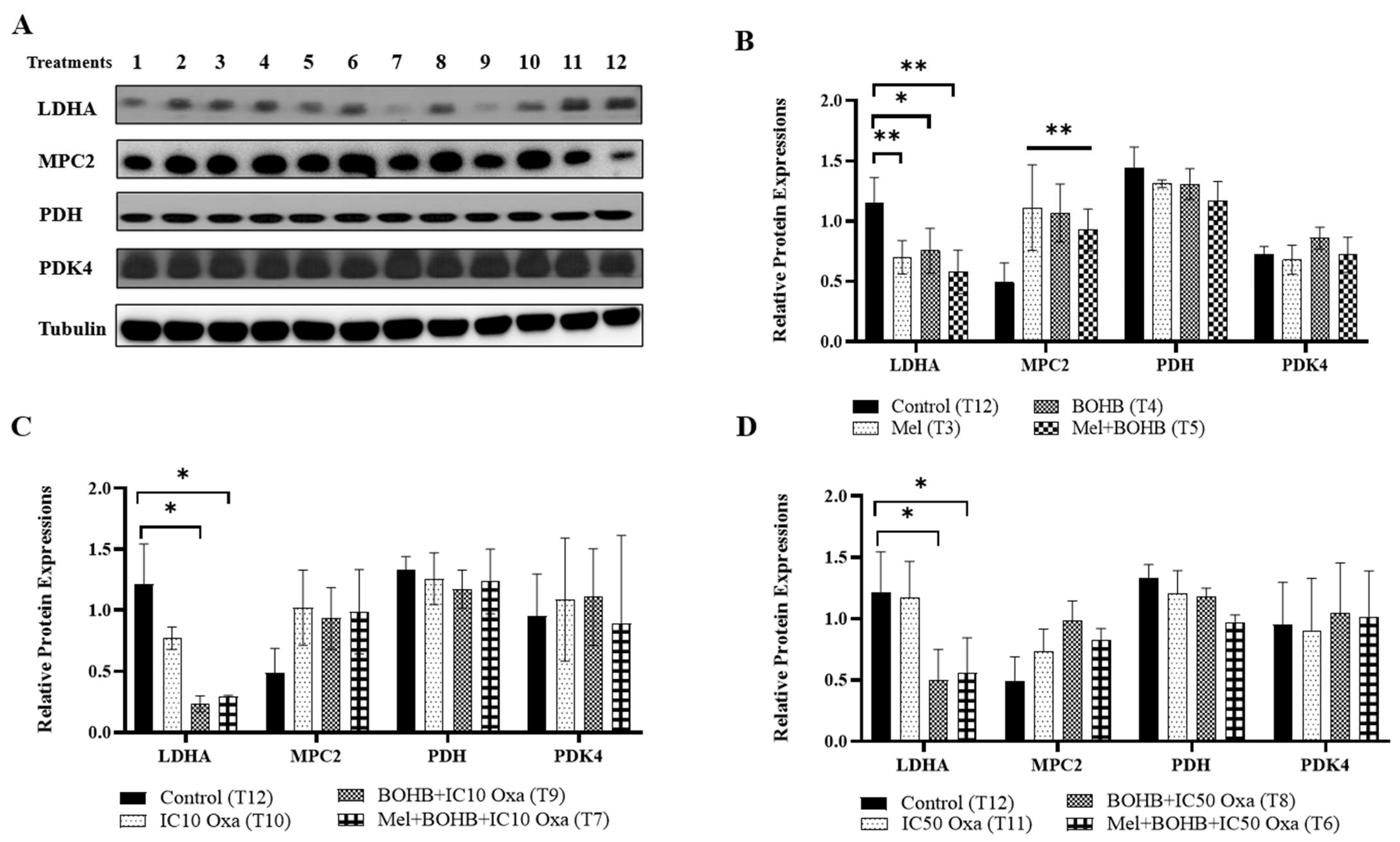 Cancers 15 05724 g003