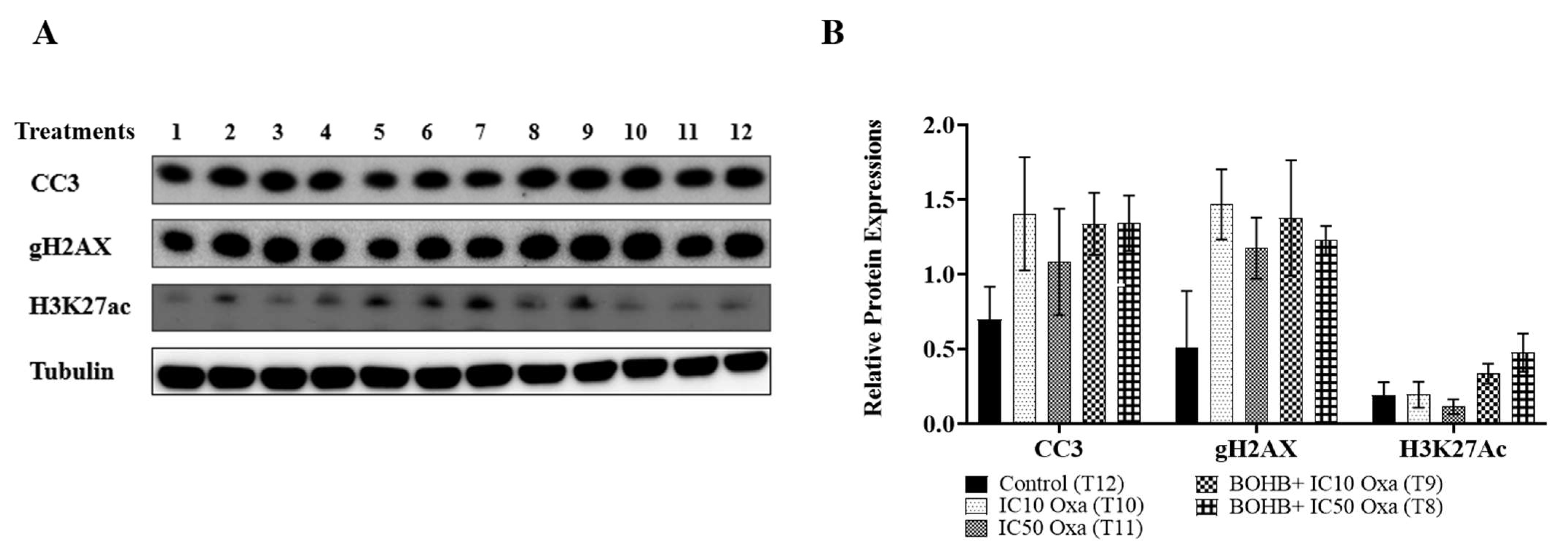 Cancers 15 05724 g004