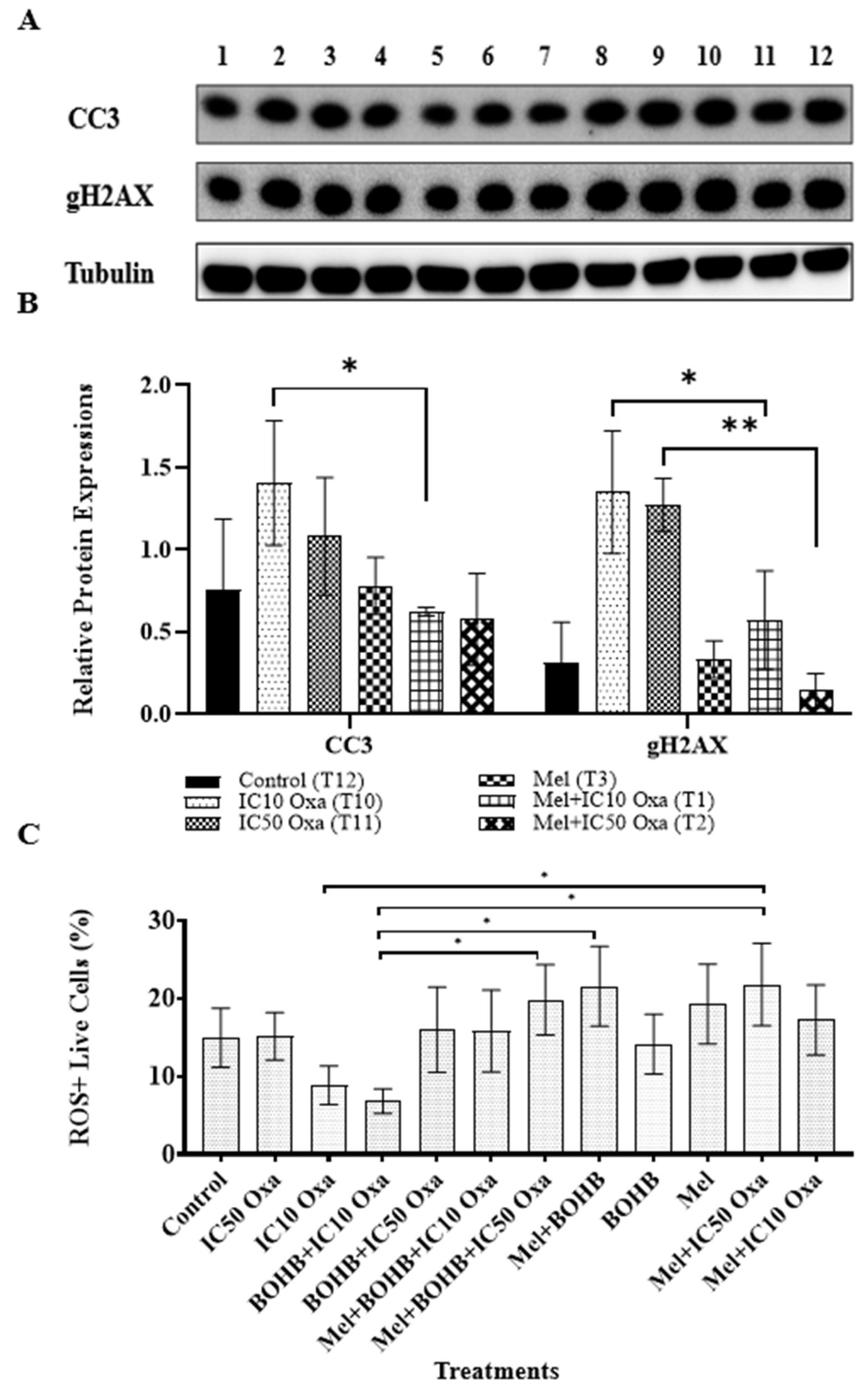 Cancers 15 05724 g005
