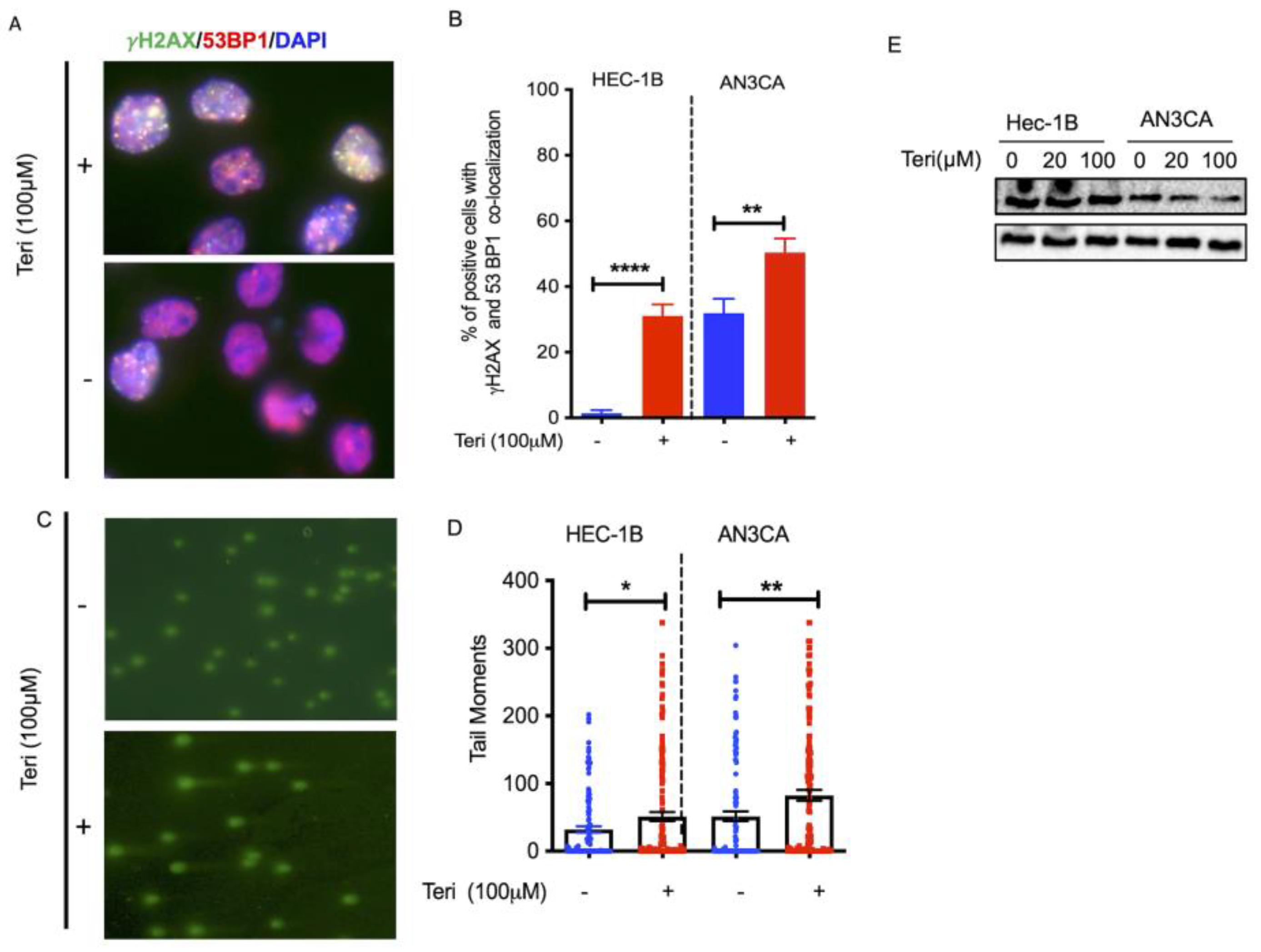 Cancers 15 05727 g001