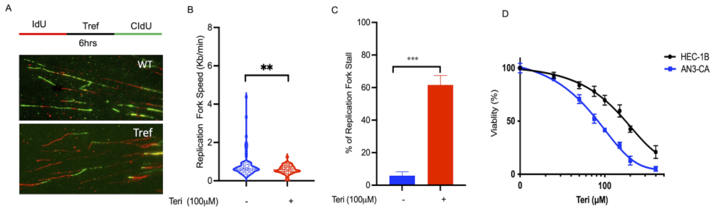 Cancers 15 05727 g002