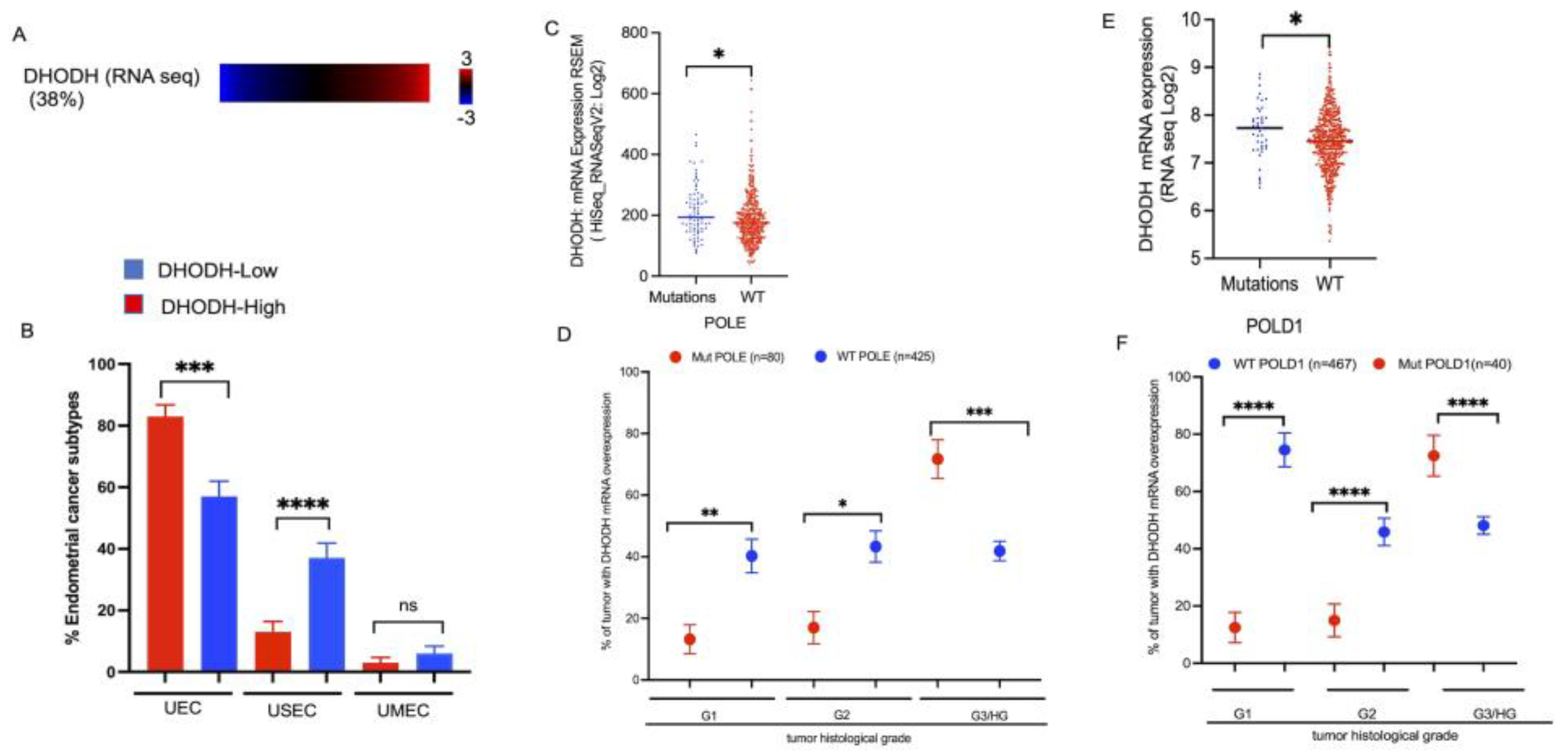 Cancers 15 05727 g005