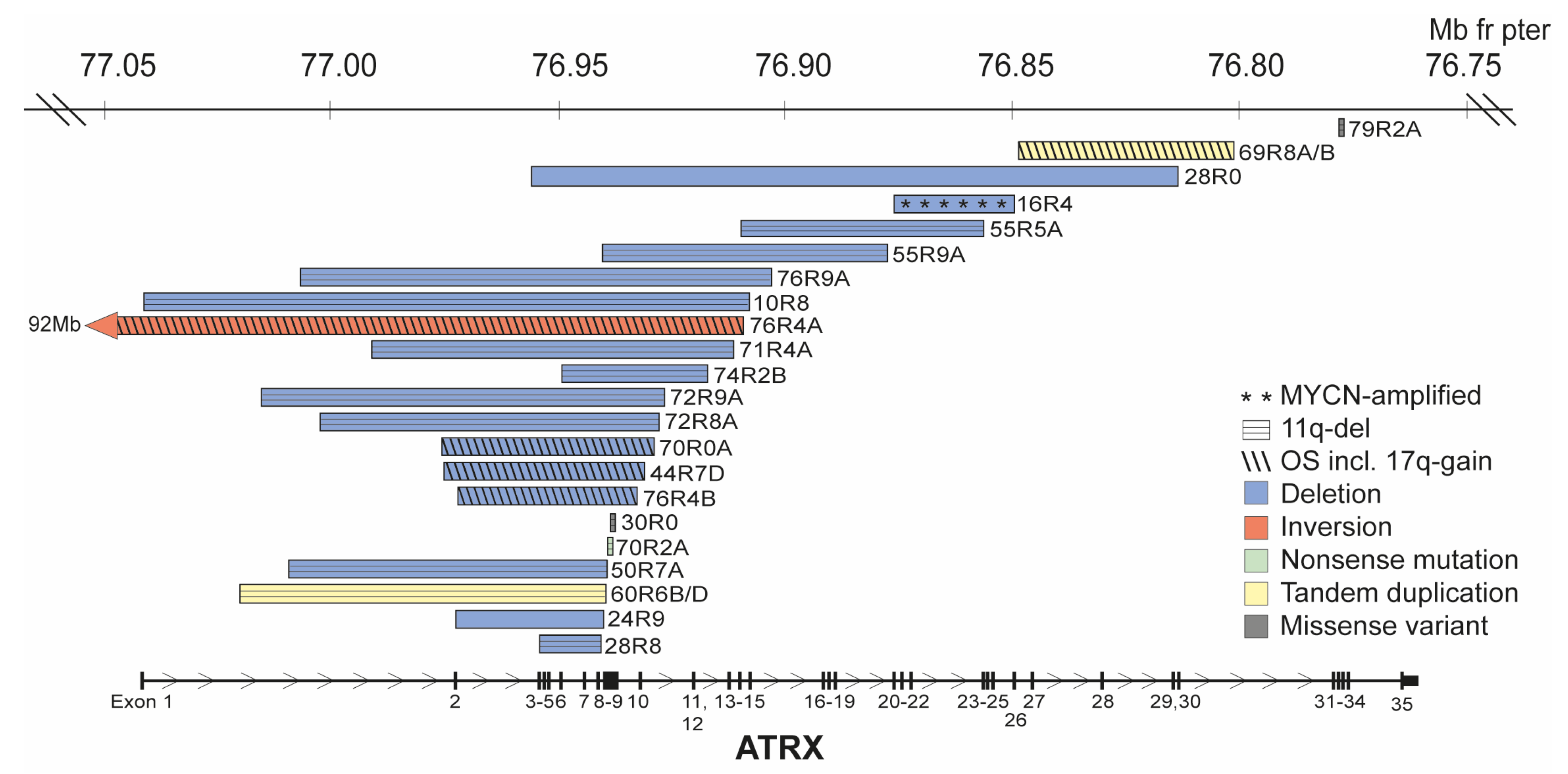 Cancers 15 05732 g002