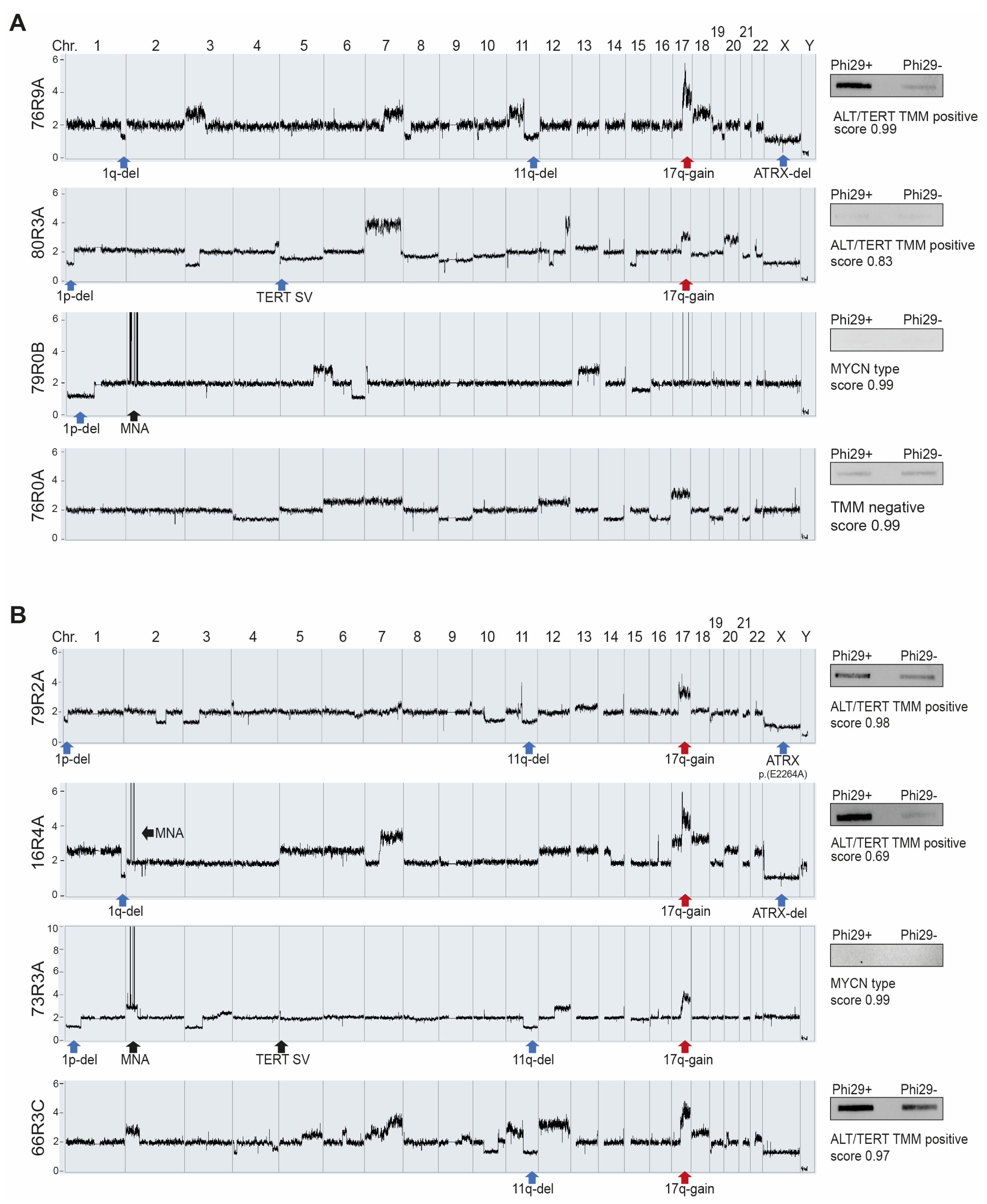 Cancers 15 05732 g004