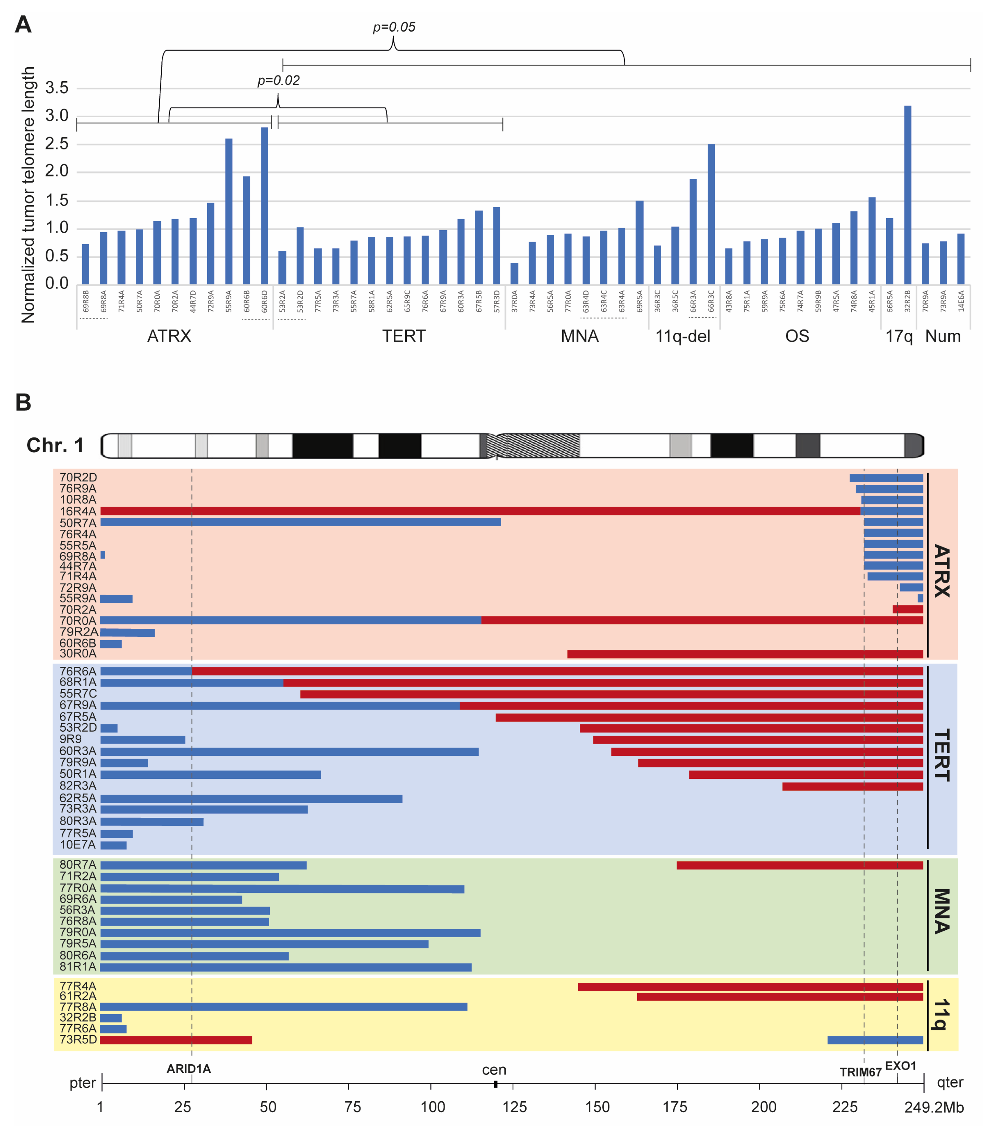Cancers 15 05732 g005