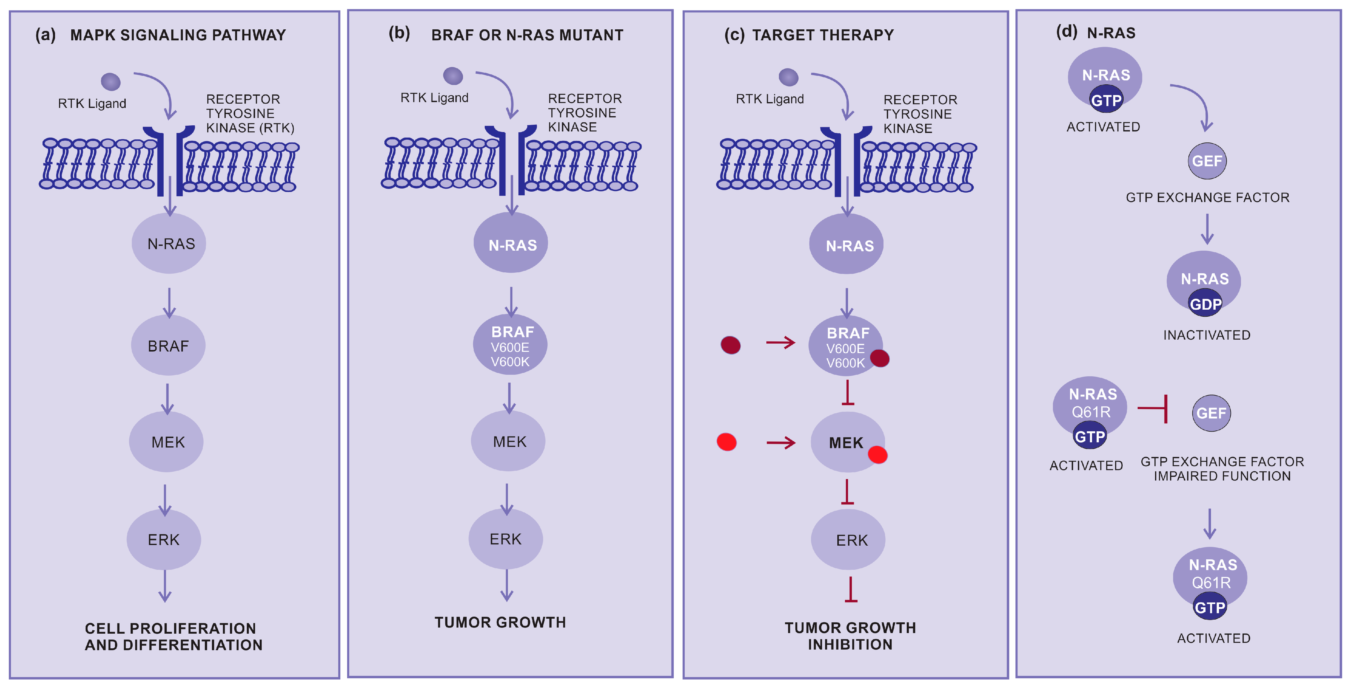 Cancers 15 05751 g002