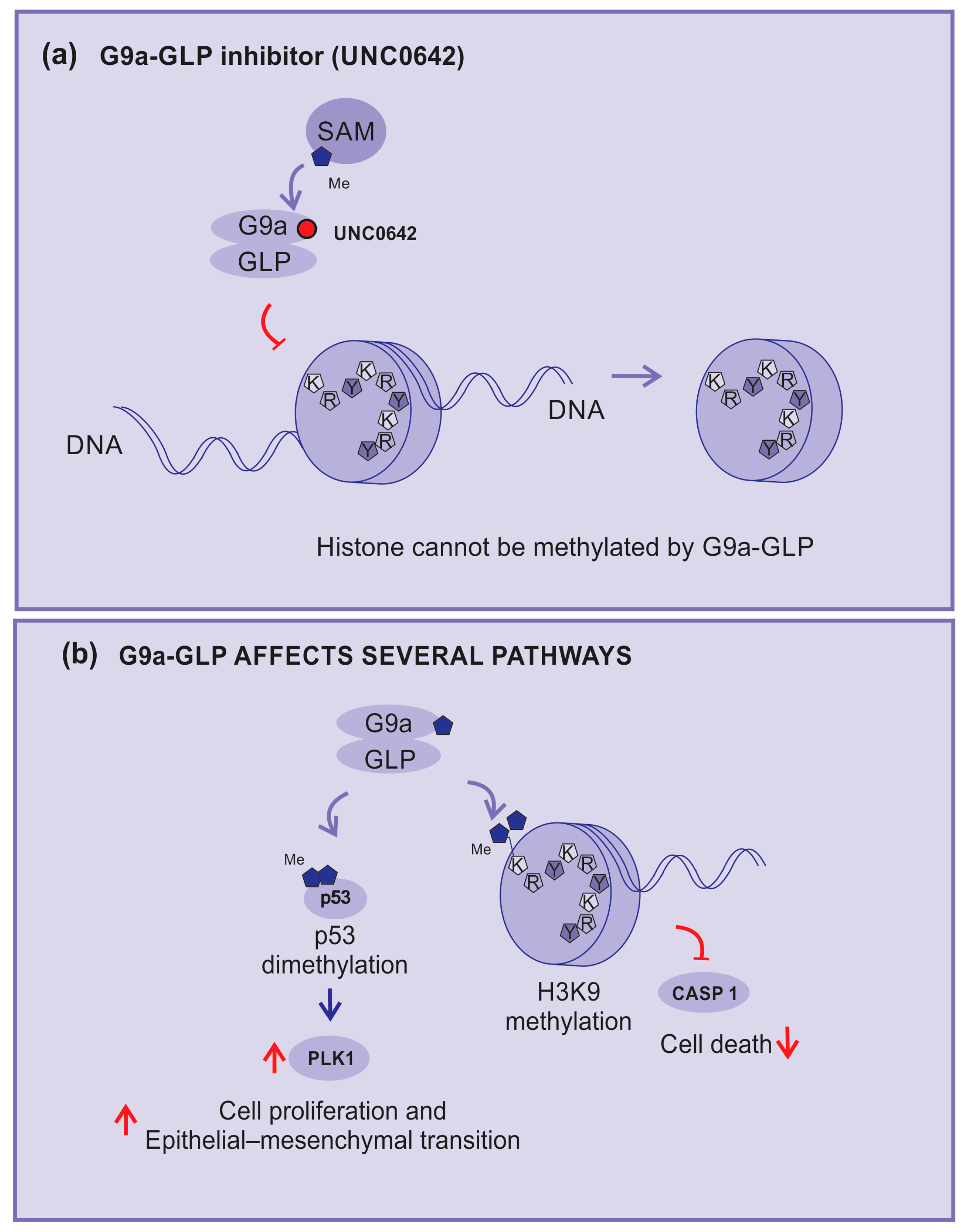 Cancers 15 05751 g005