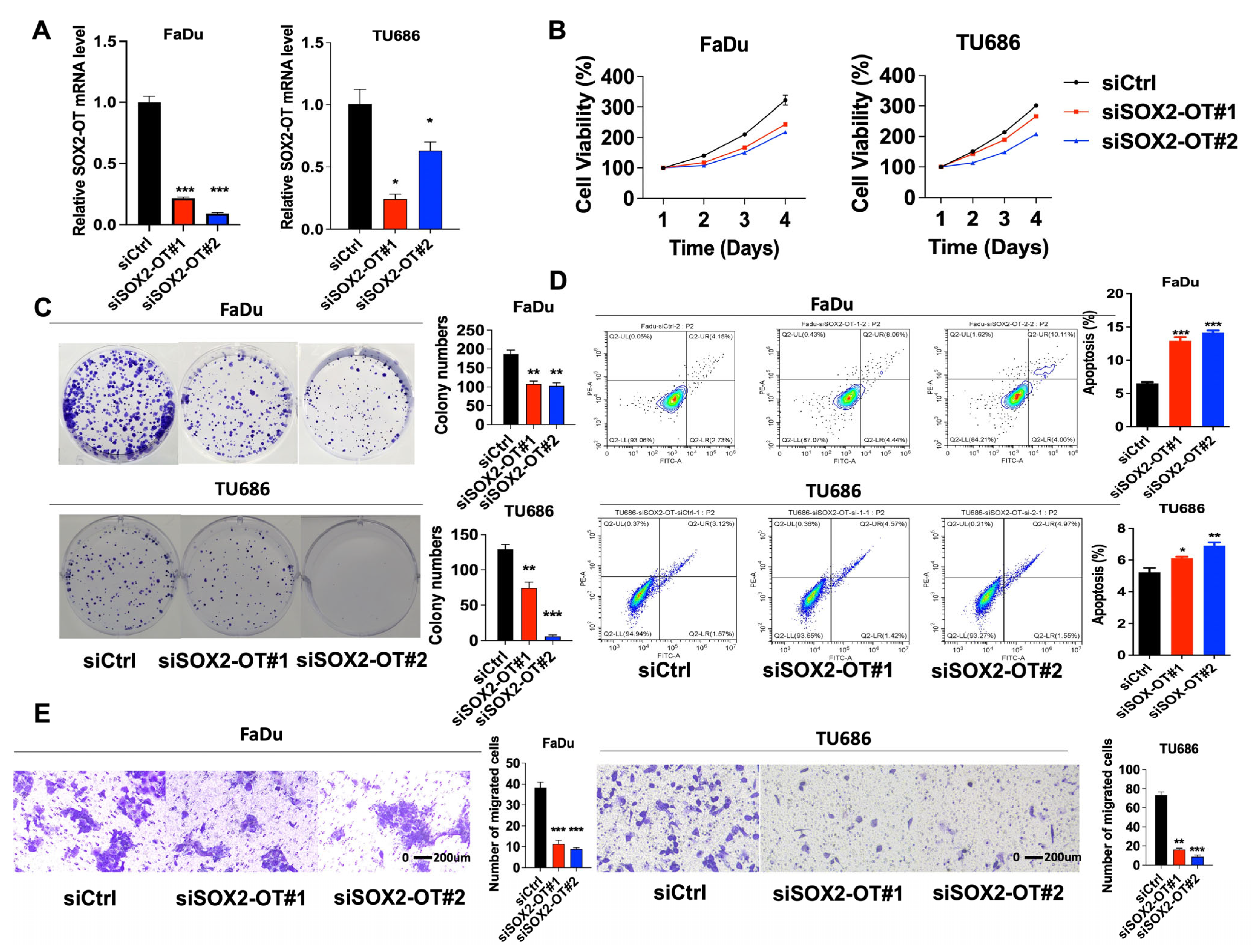 Cancers 15 05766 g002