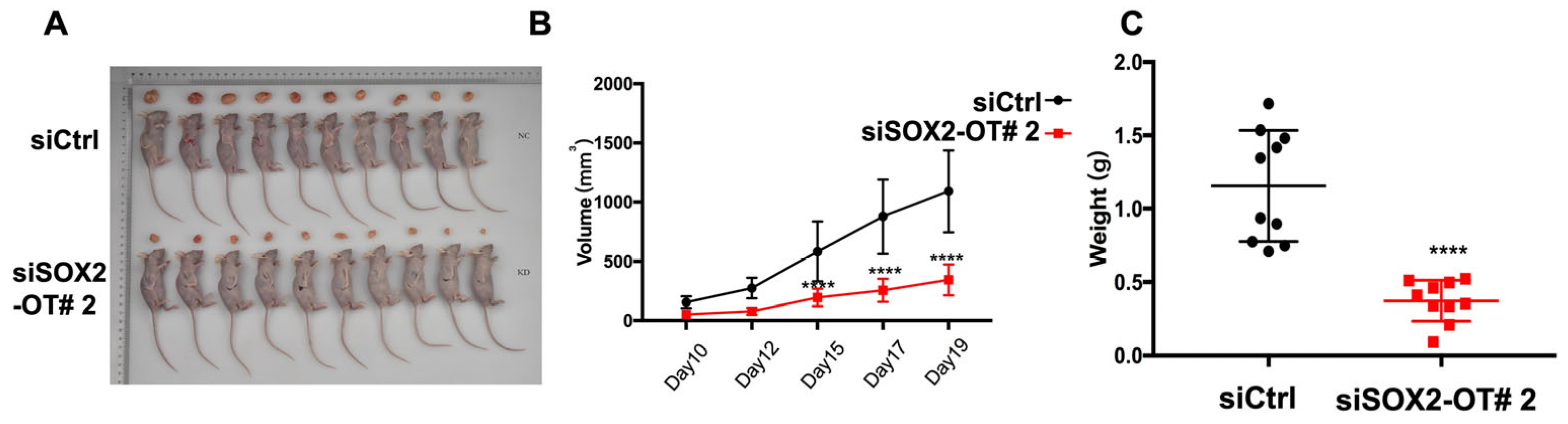 Cancers 15 05766 g003