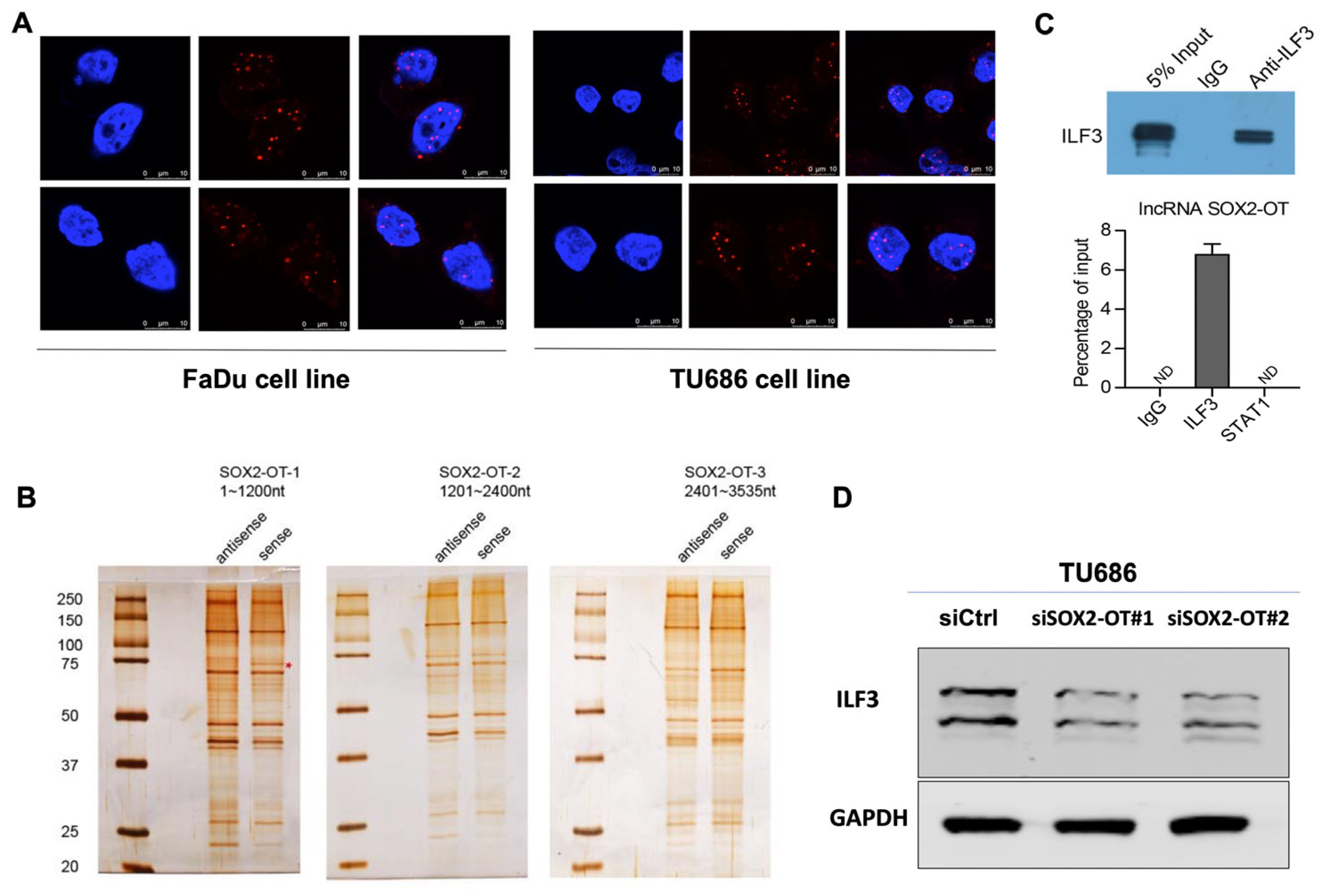 Cancers 15 05766 g004