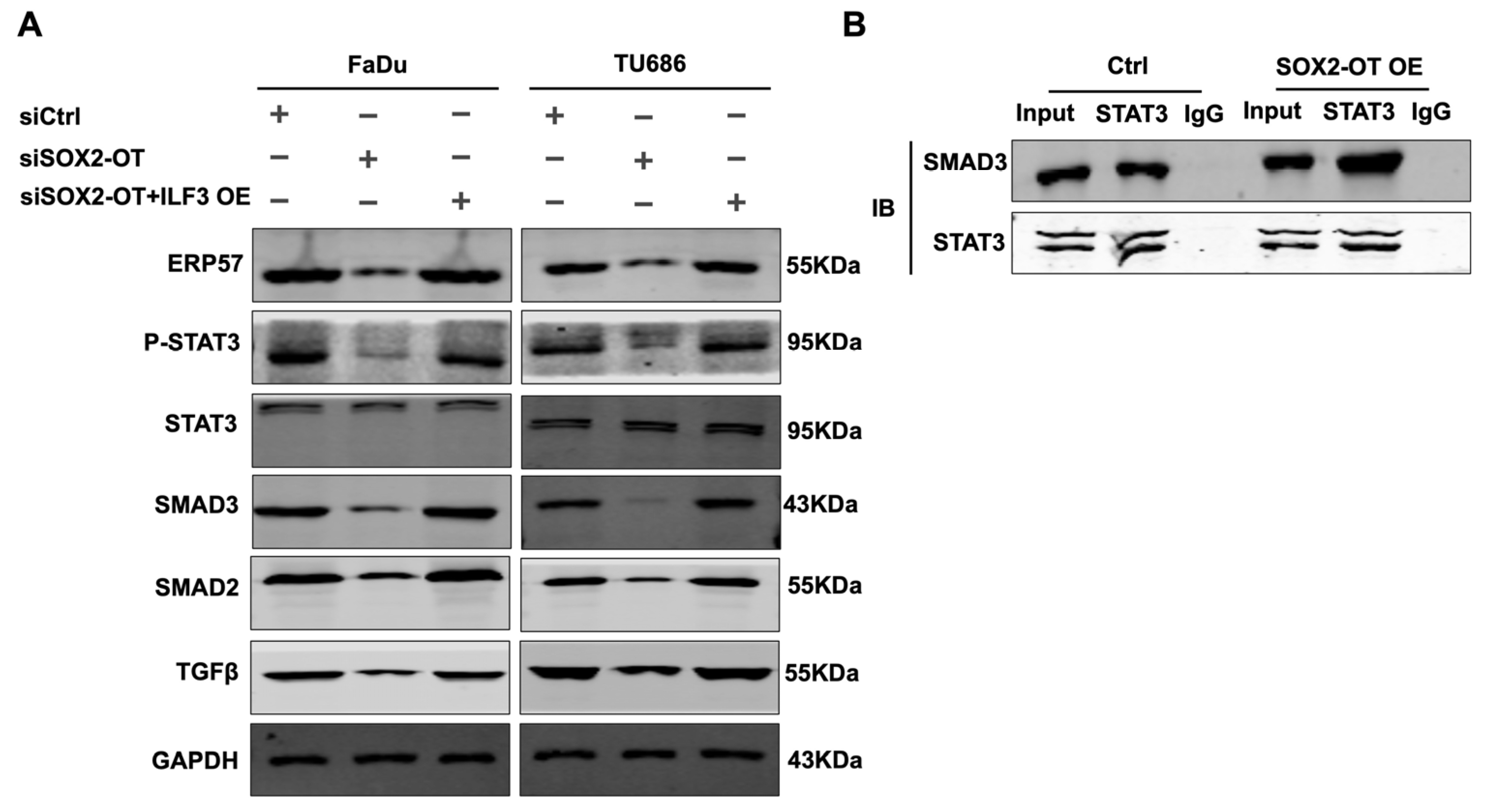 Cancers 15 05766 g006