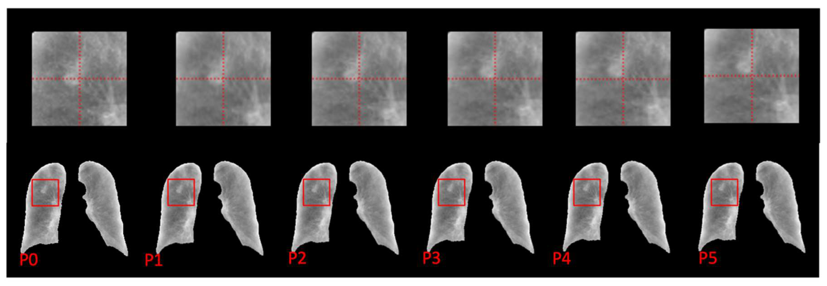 Cancers 15 05768 g006 Cancers 15 05768 g006