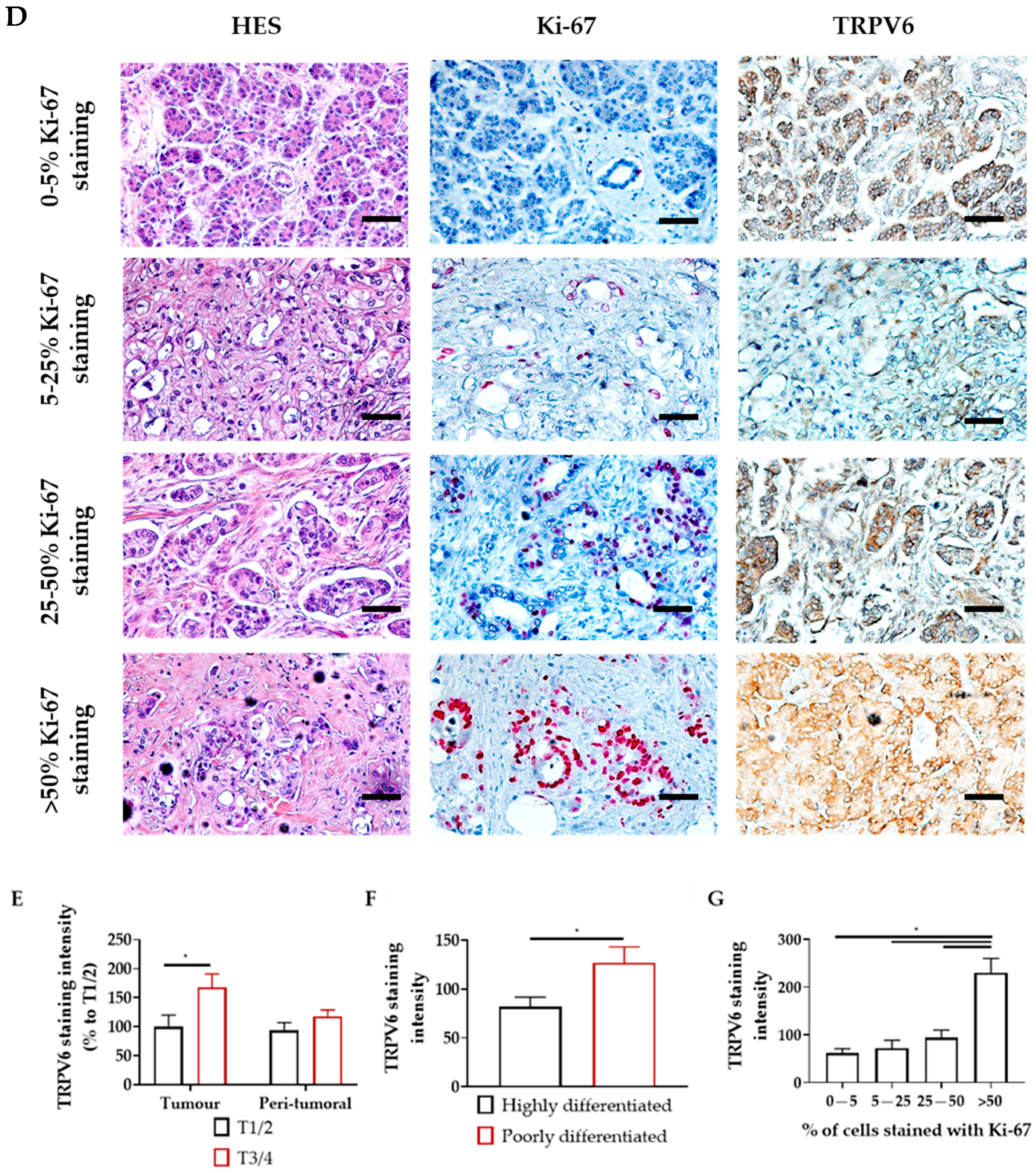 Cancers 15 05769 g001b Cancers 15 05769 g001b