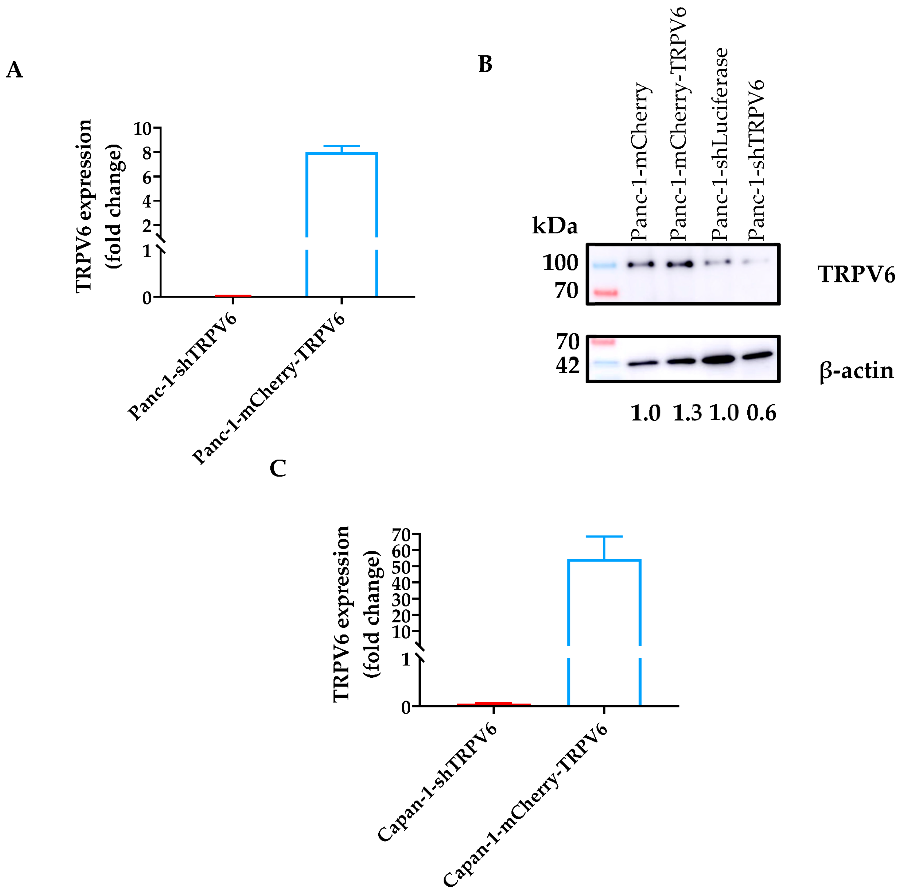 Cancers 15 05769 g002a Cancers 15 05769 g002a
