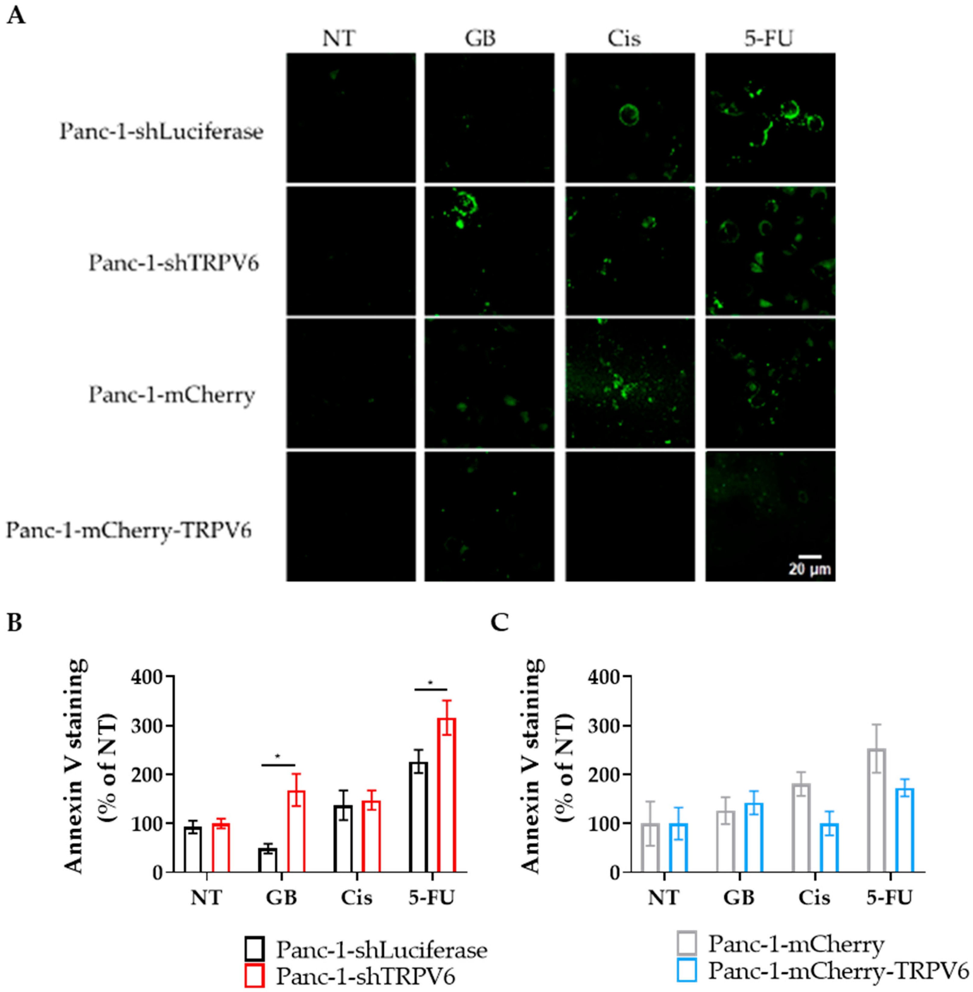 Cancers 15 05769 g007 Cancers 15 05769 g007