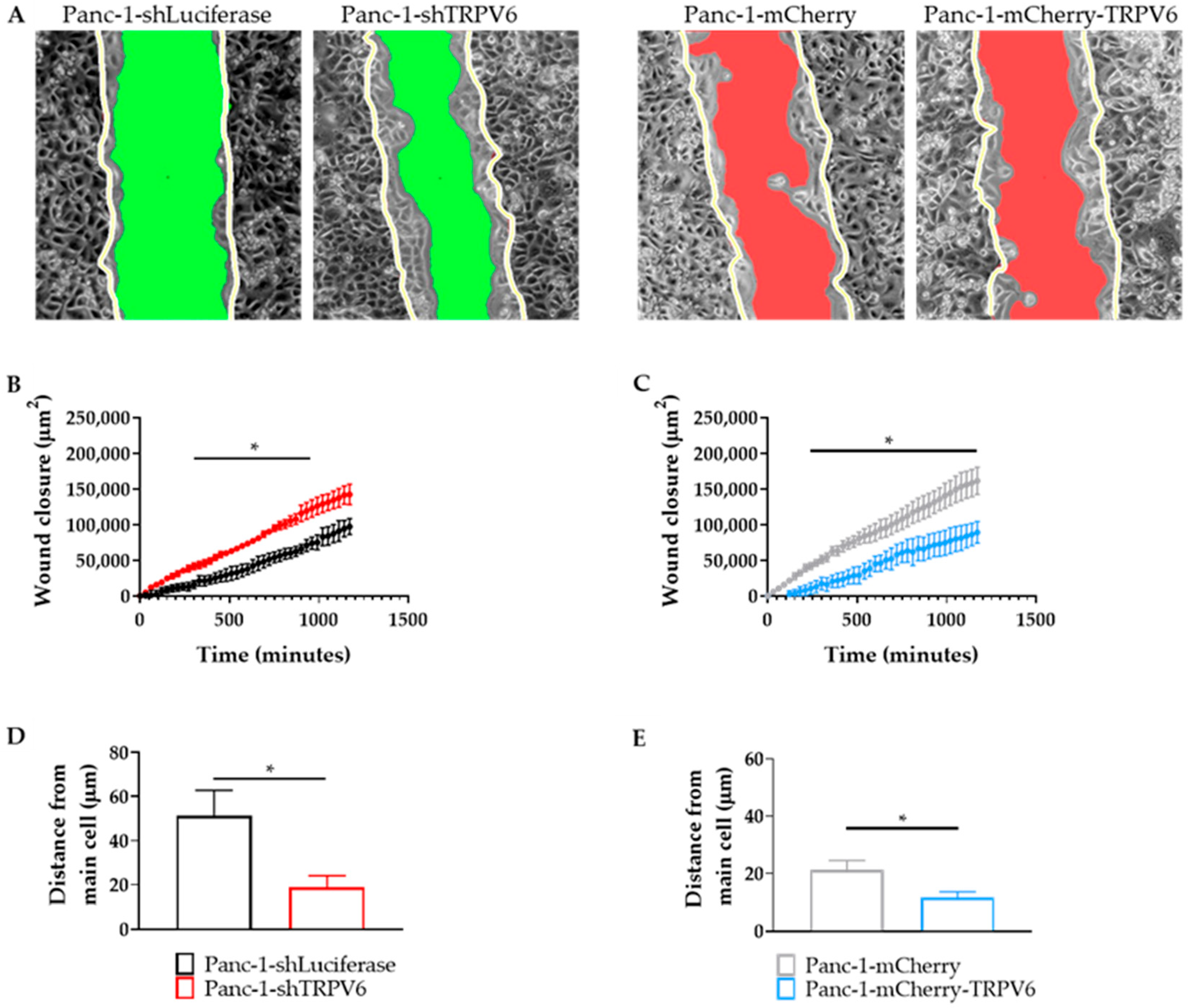 Cancers 15 05769 g008 Cancers 15 05769 g008