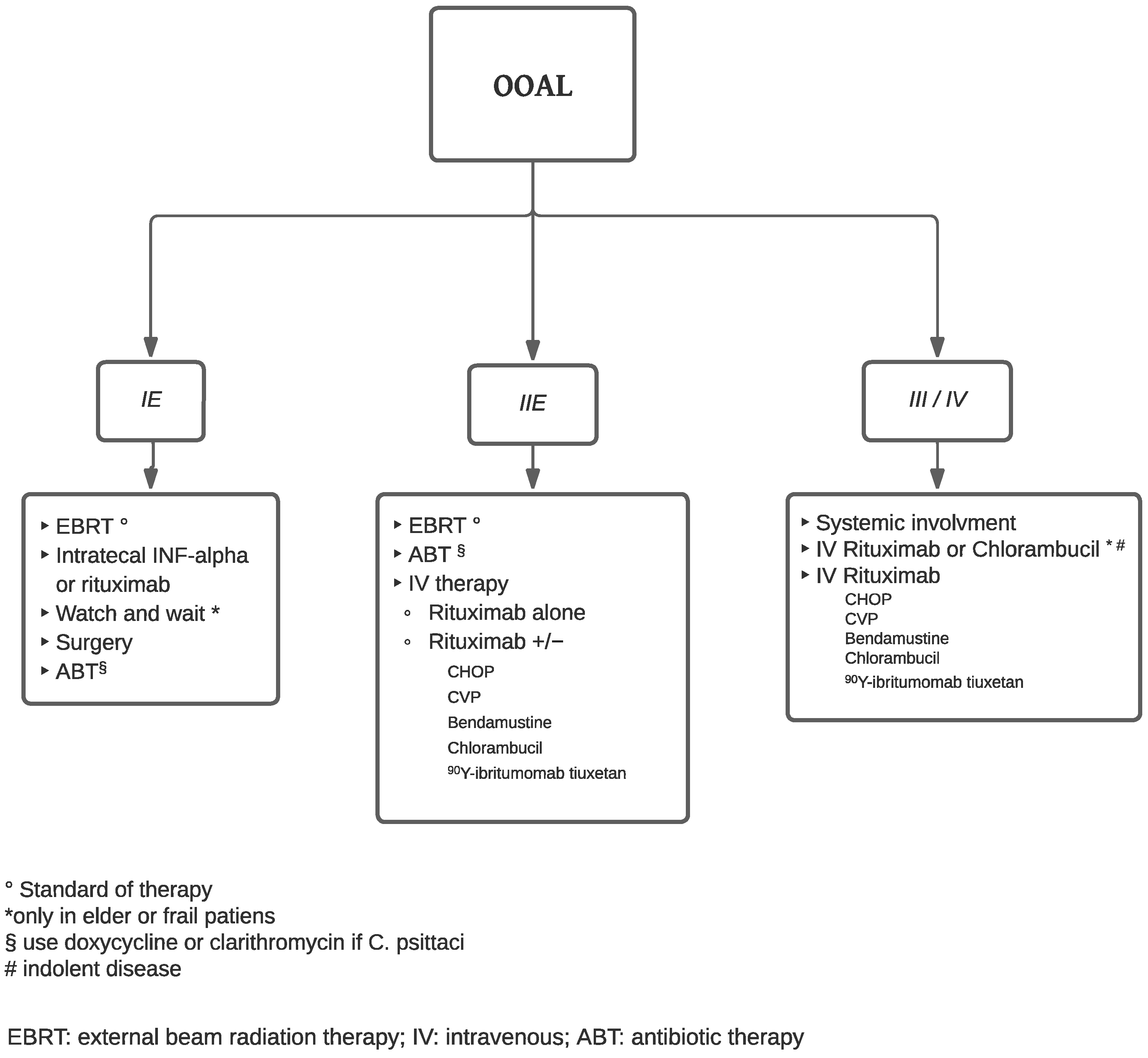 Cancers 15 05782 g001