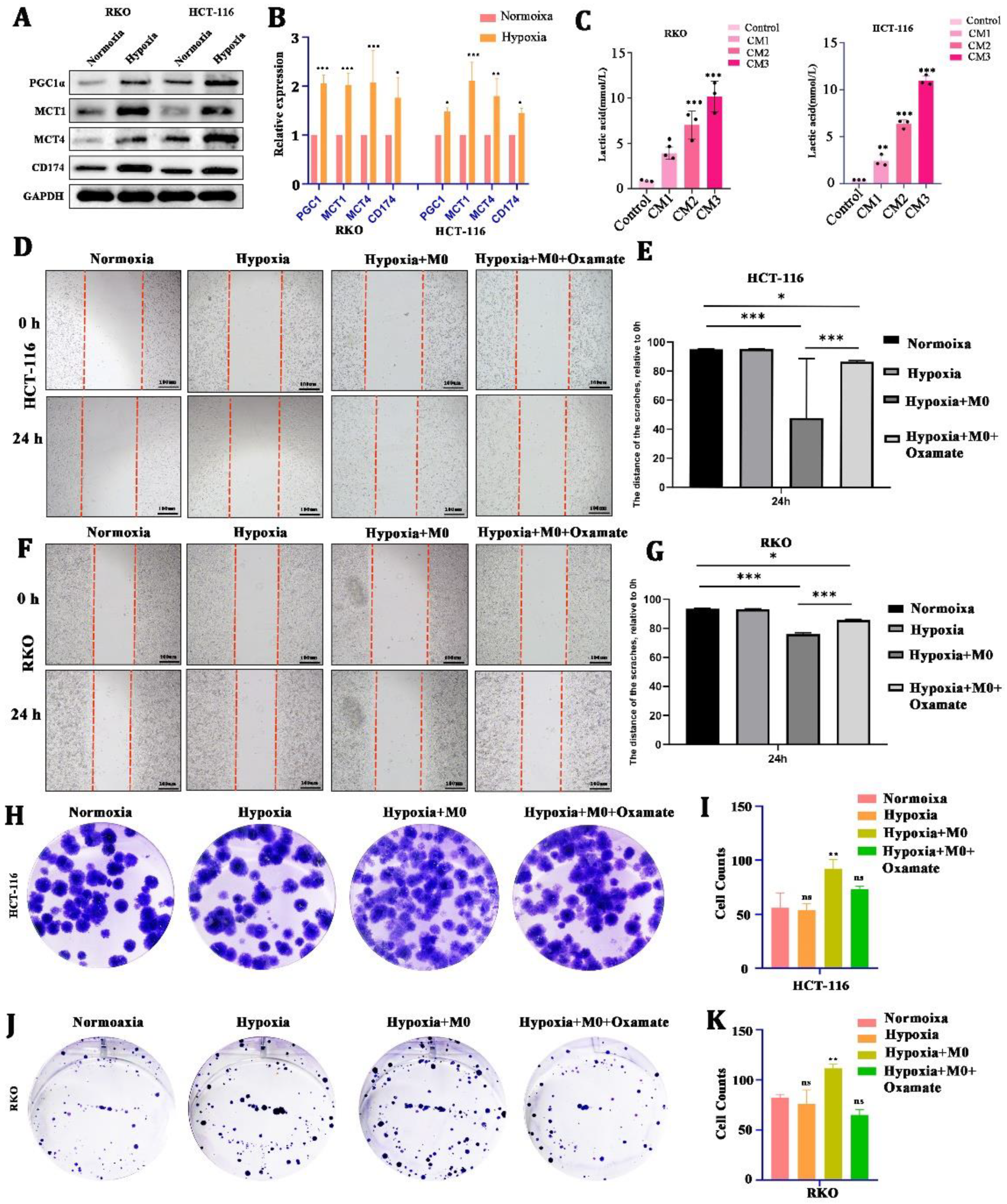 Cancers 15 05795 g002