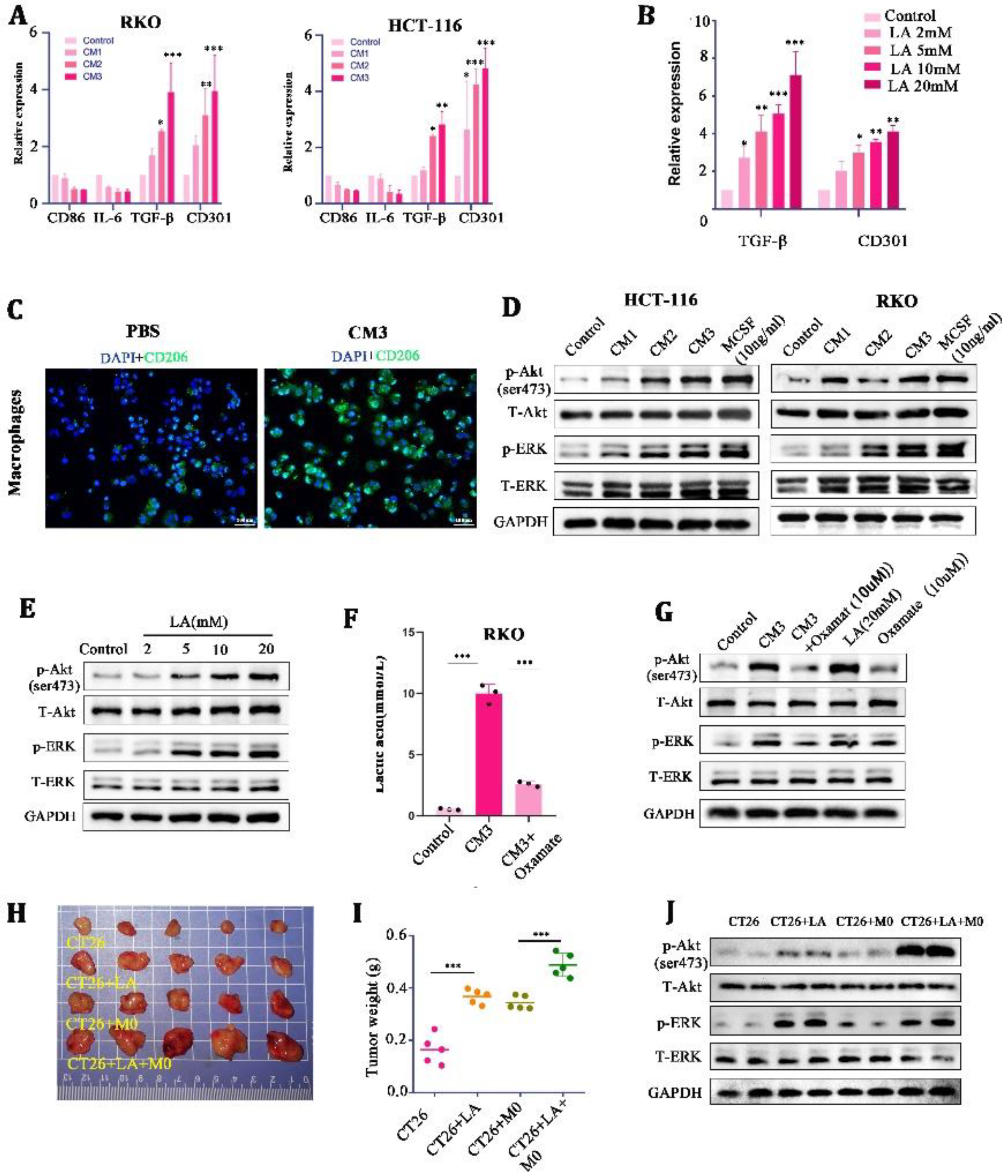 Cancers 15 05795 g003