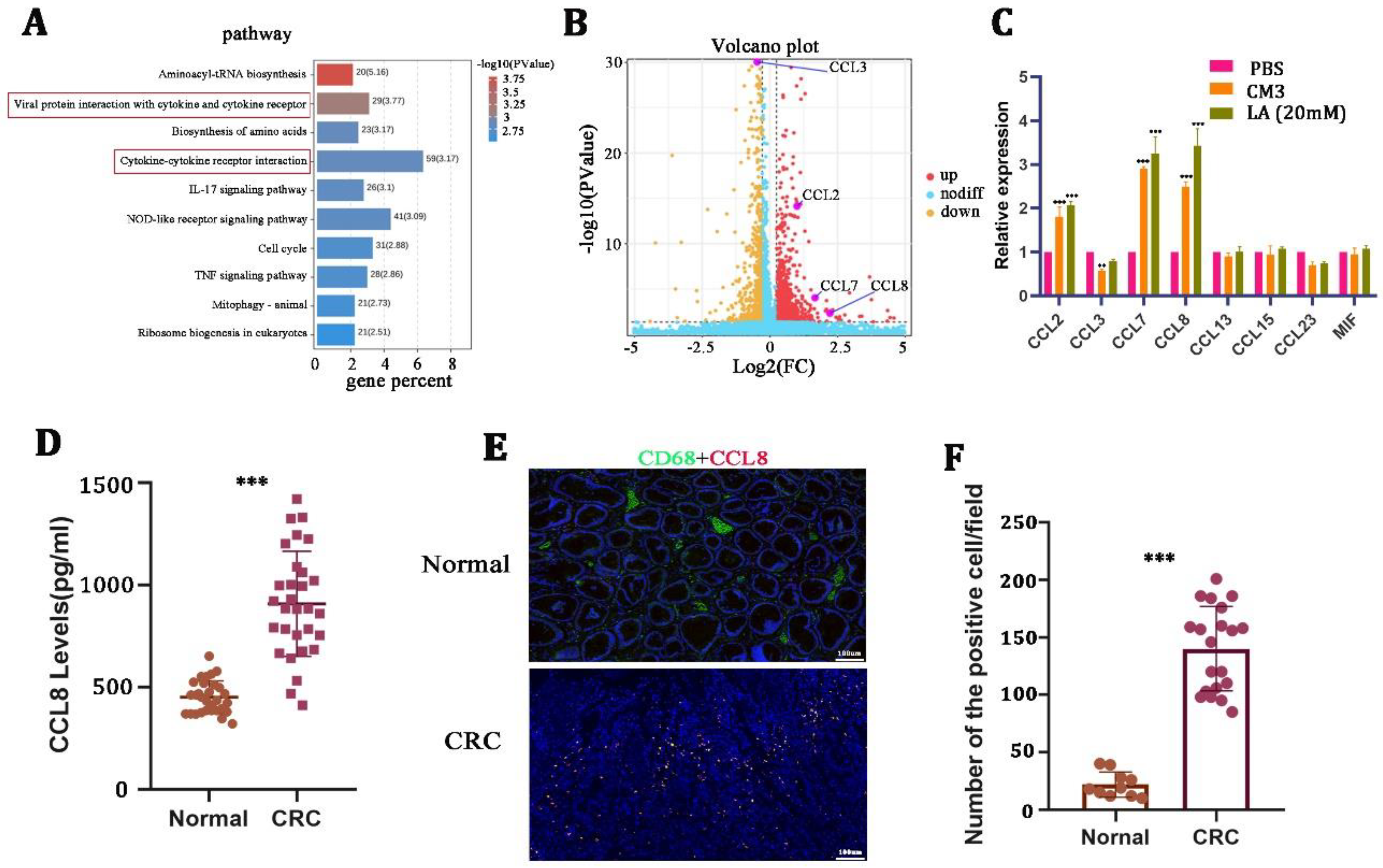Cancers 15 05795 g004