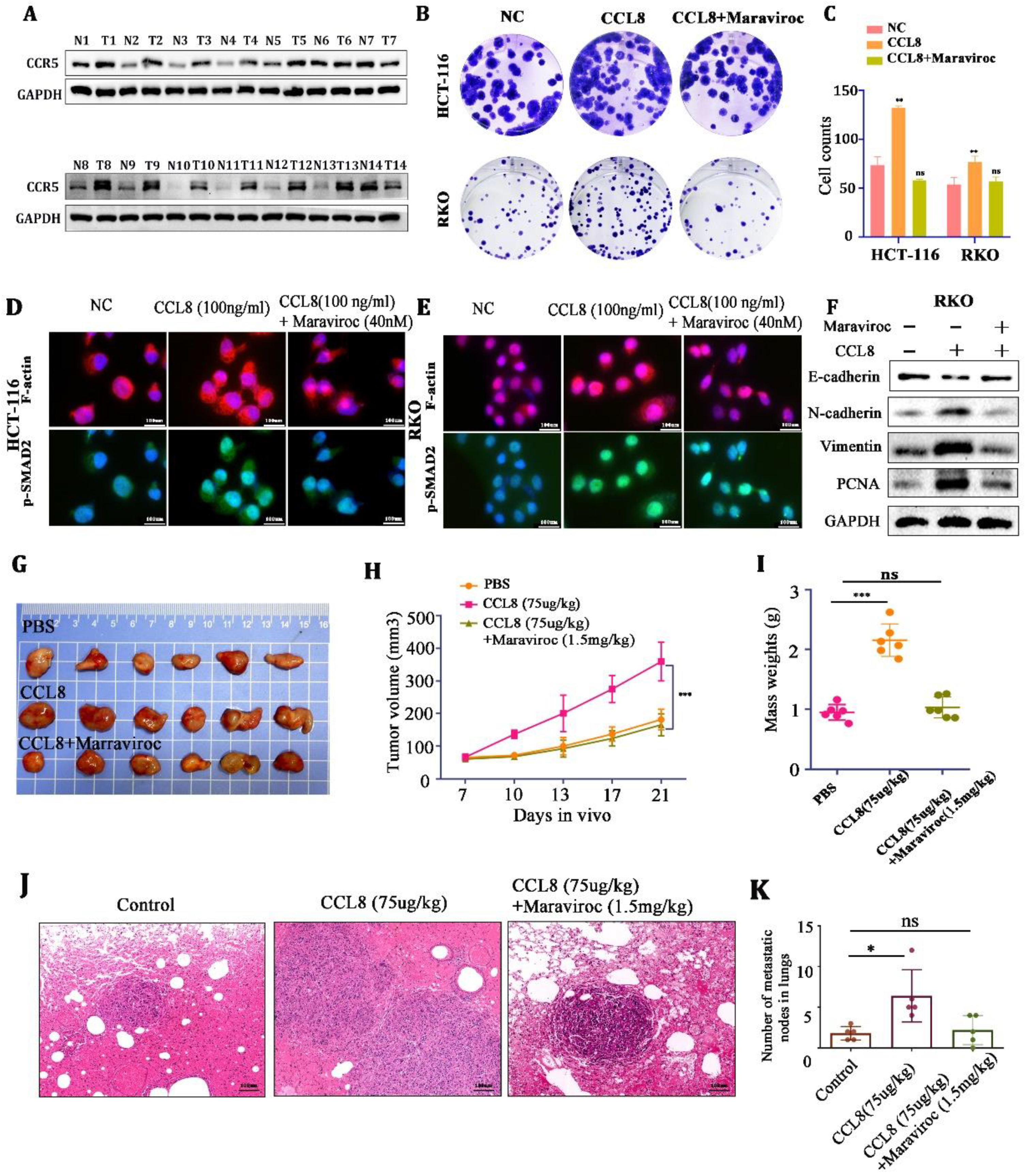 Cancers 15 05795 g005