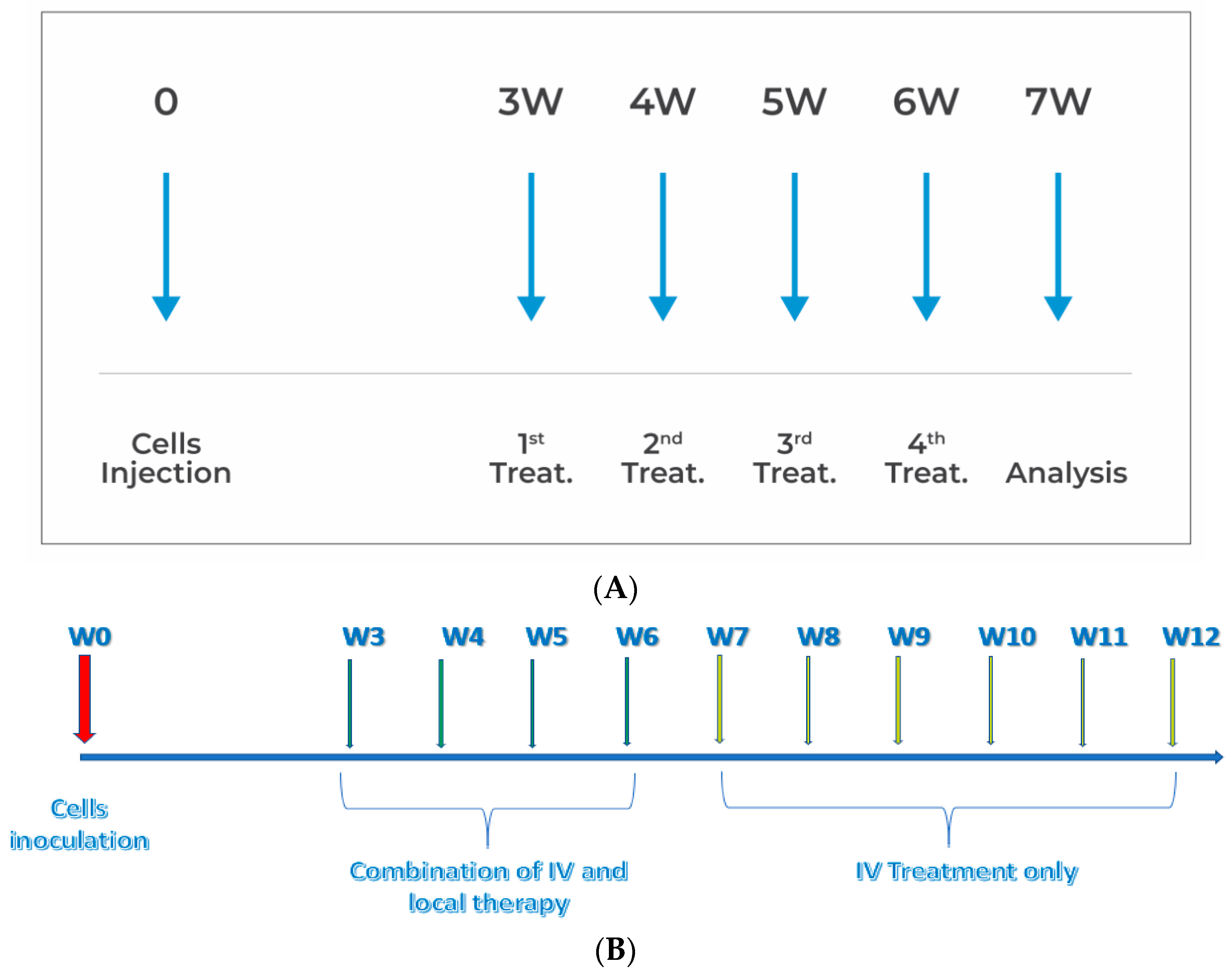 Cancers 15 05801 g001