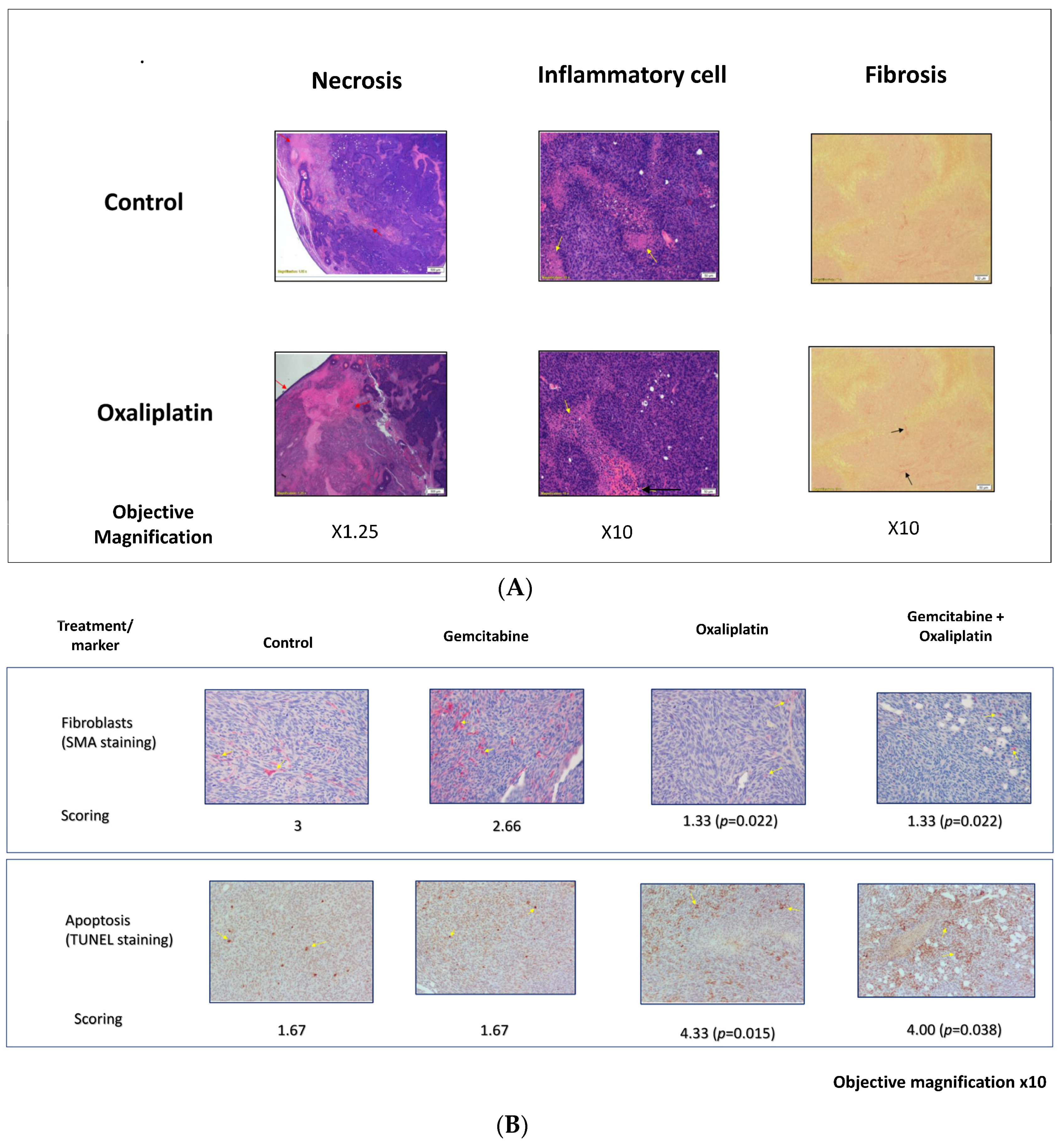 Cancers 15 05801 g003