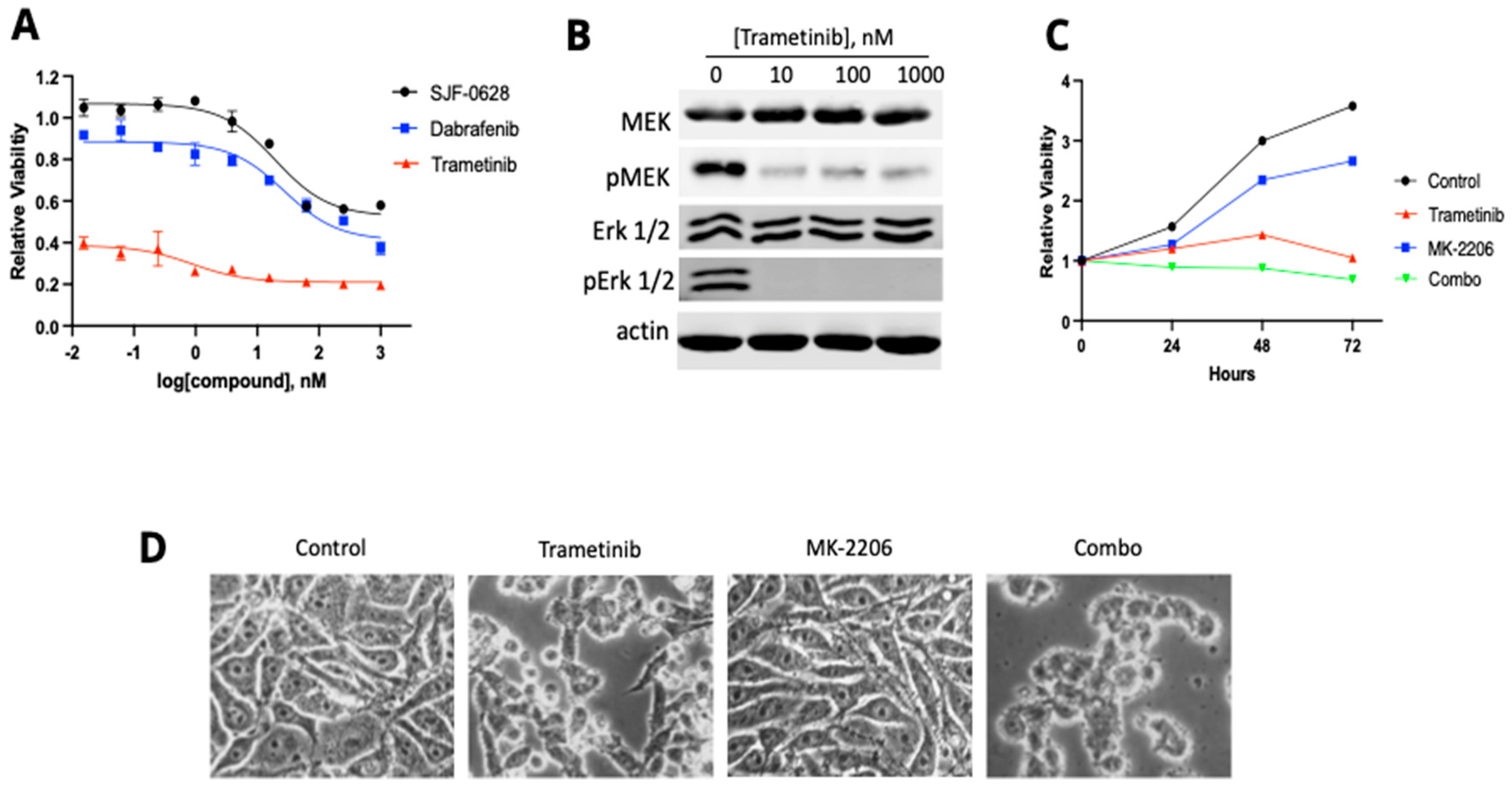 Cancers 15 05805 g007