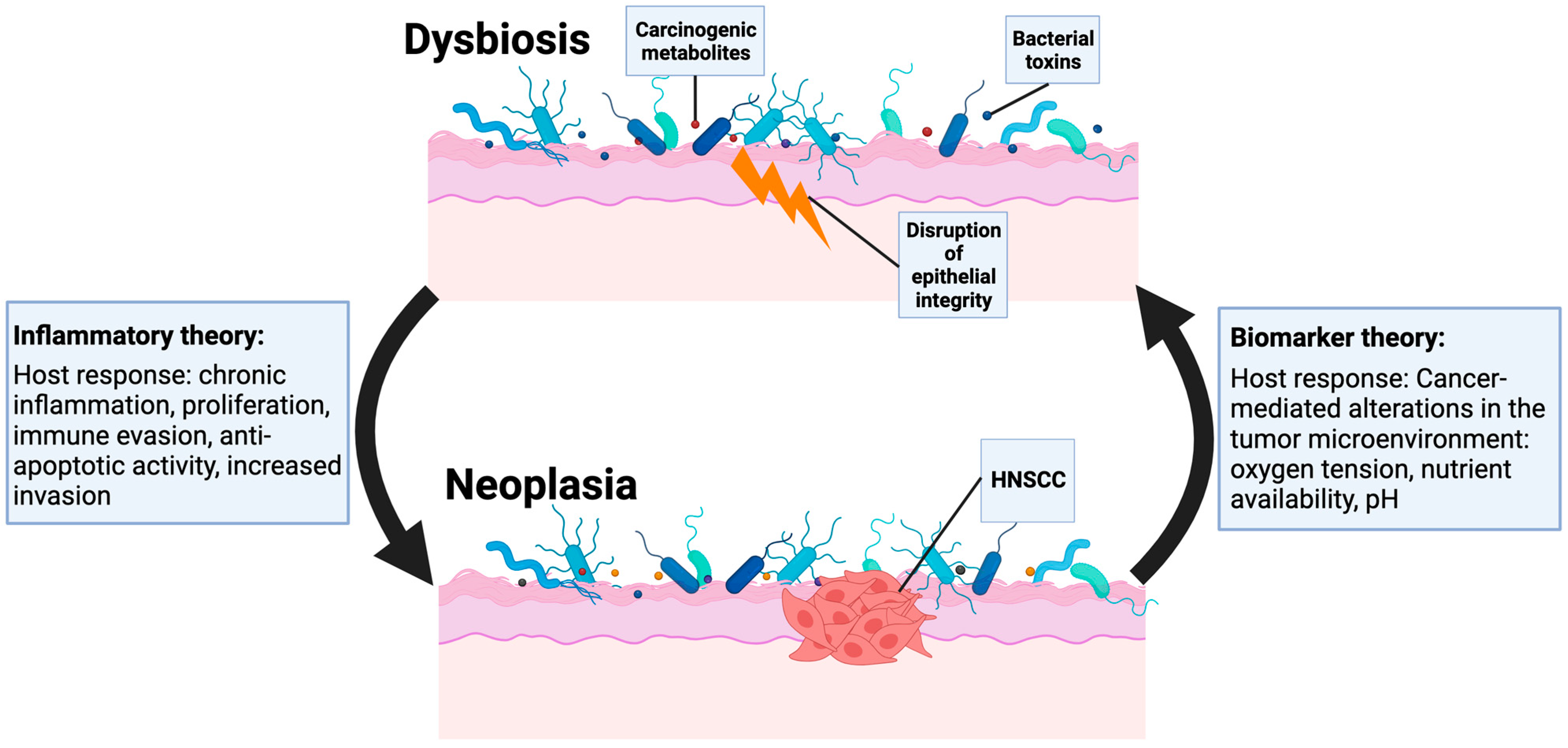 Cancers 15 05810 g001