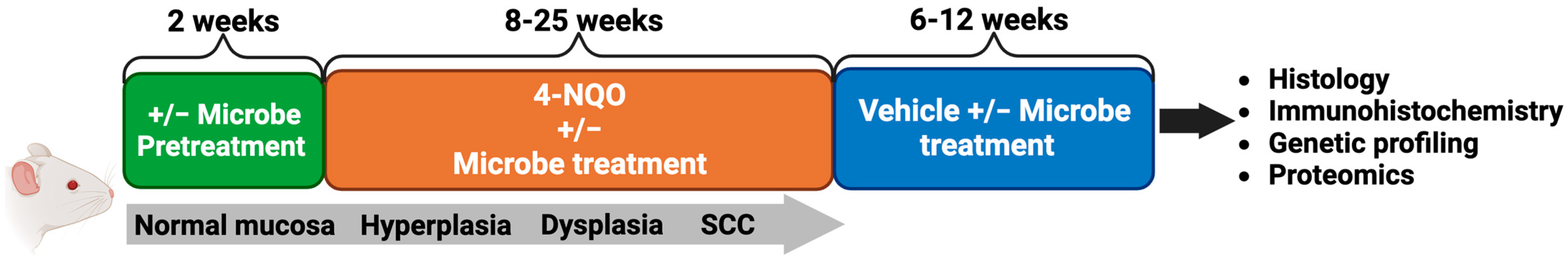 Cancers 15 05810 g002