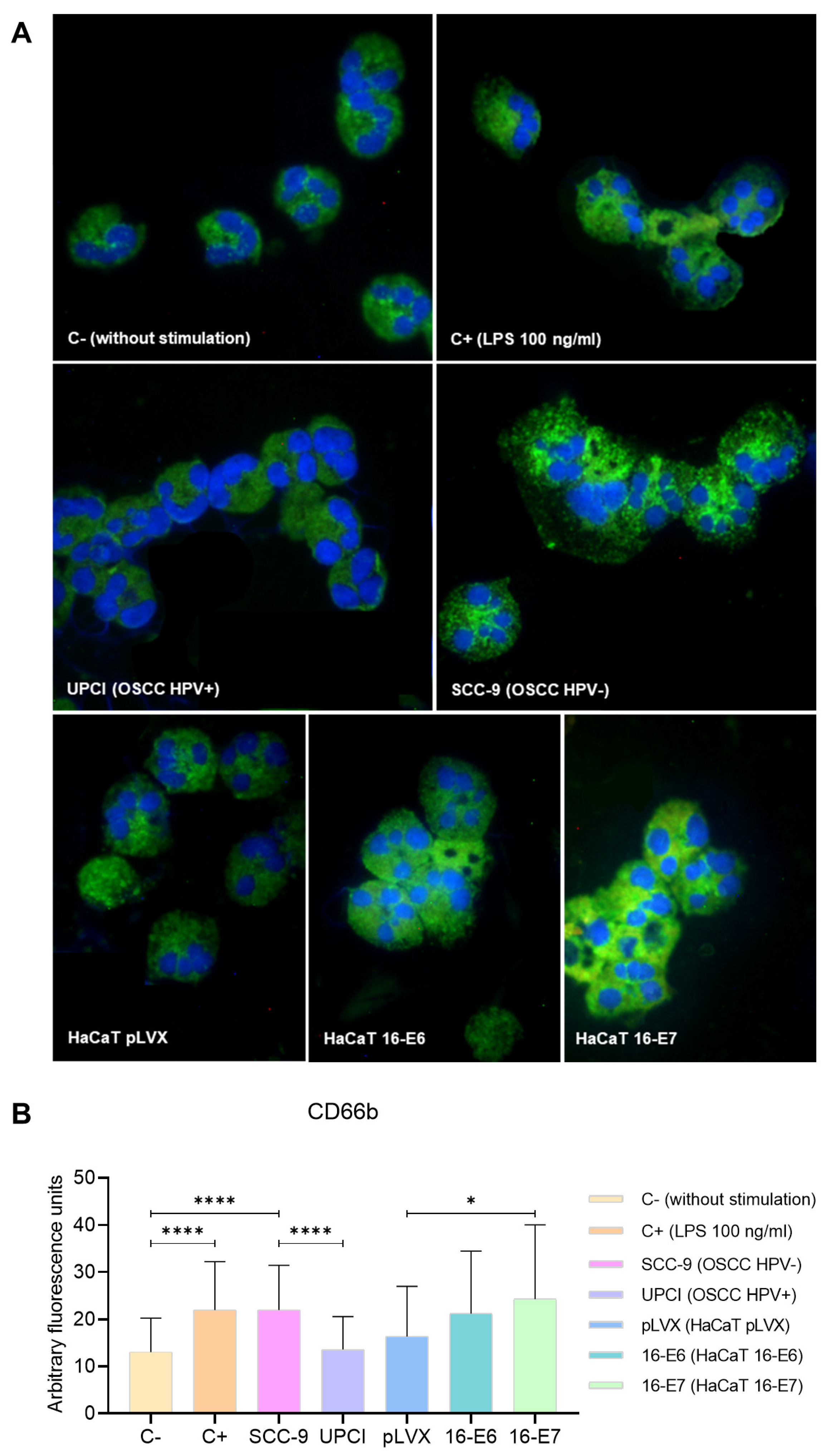 Cancers 15 05814 g004