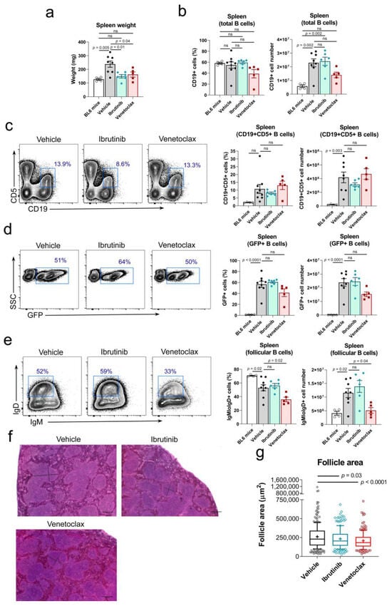 Cancers 15 05817 g002