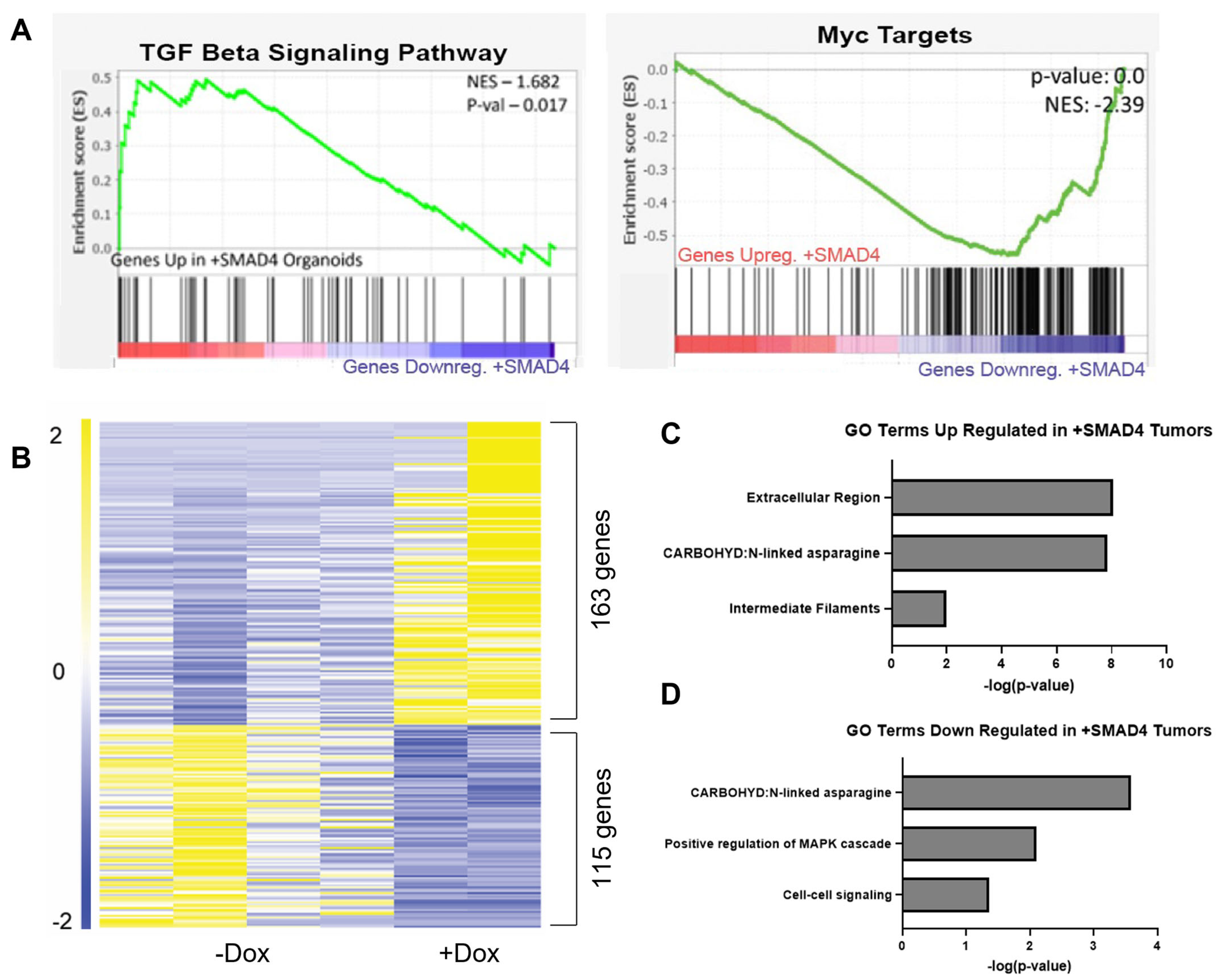 Cancers 15 05820 g003 Cancers 15 05820 g003