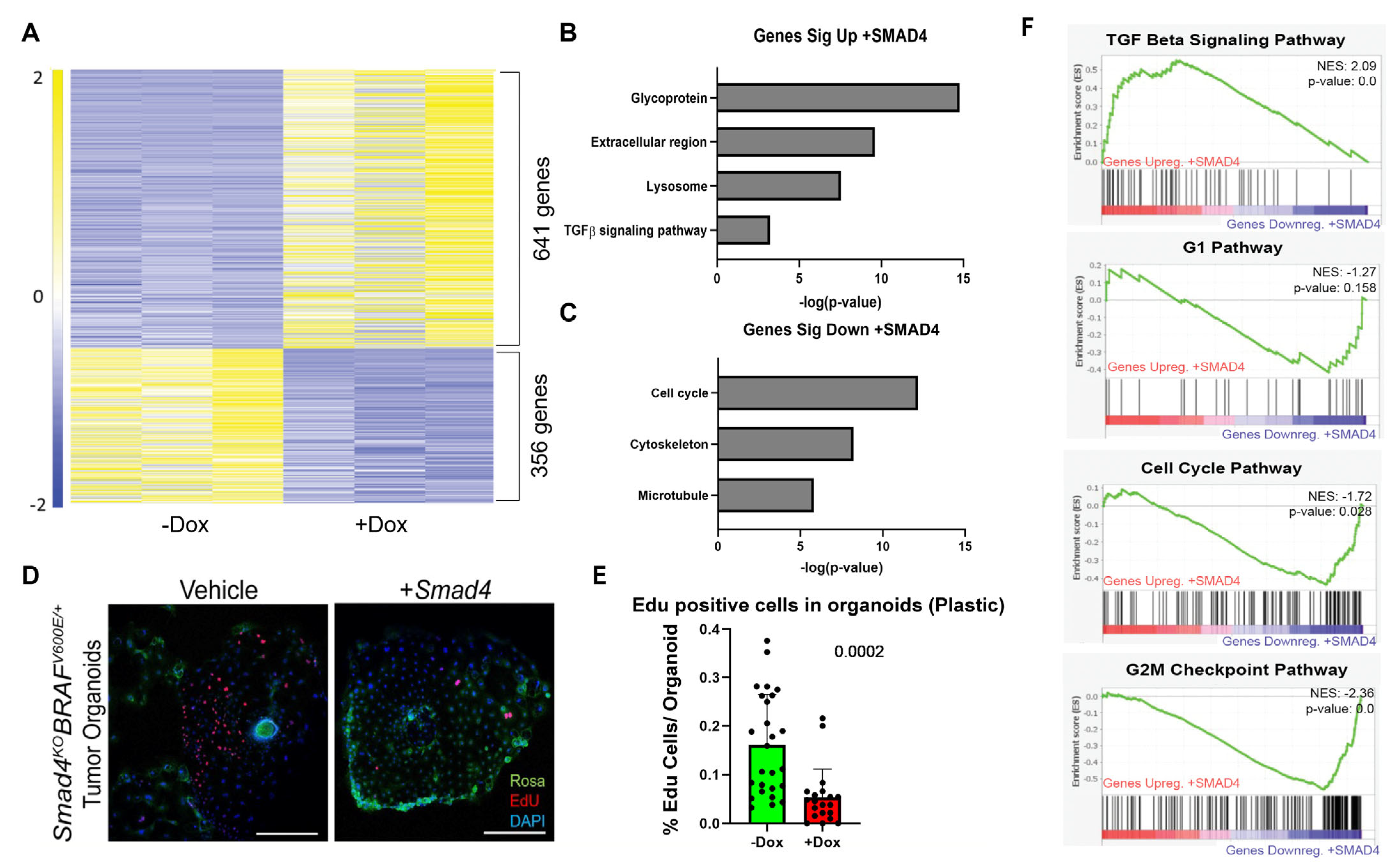 Cancers 15 05820 g006 Cancers 15 05820 g006