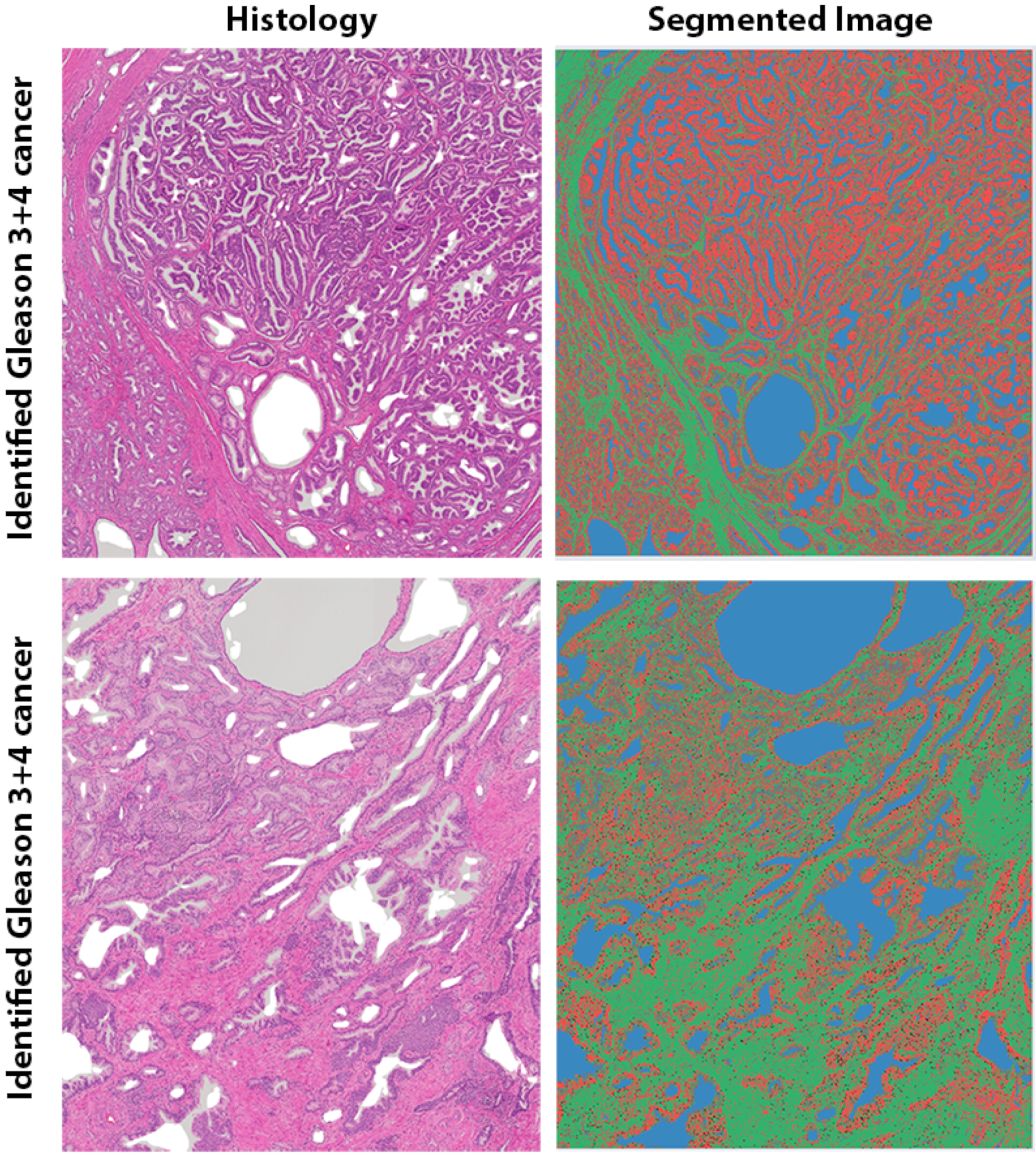 Cancers 15 05825 g004