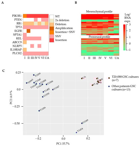 Cancers 15 05826 g002