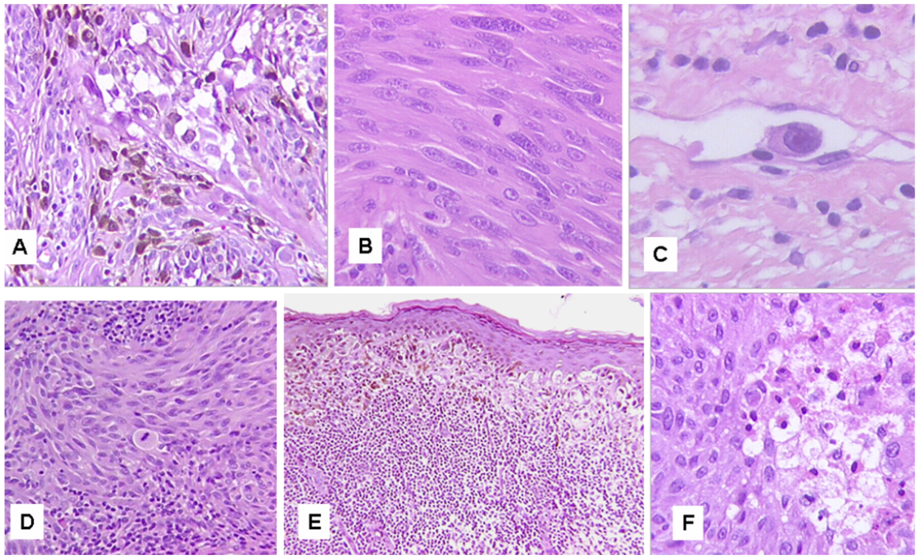 Cancers 15 05834 g002