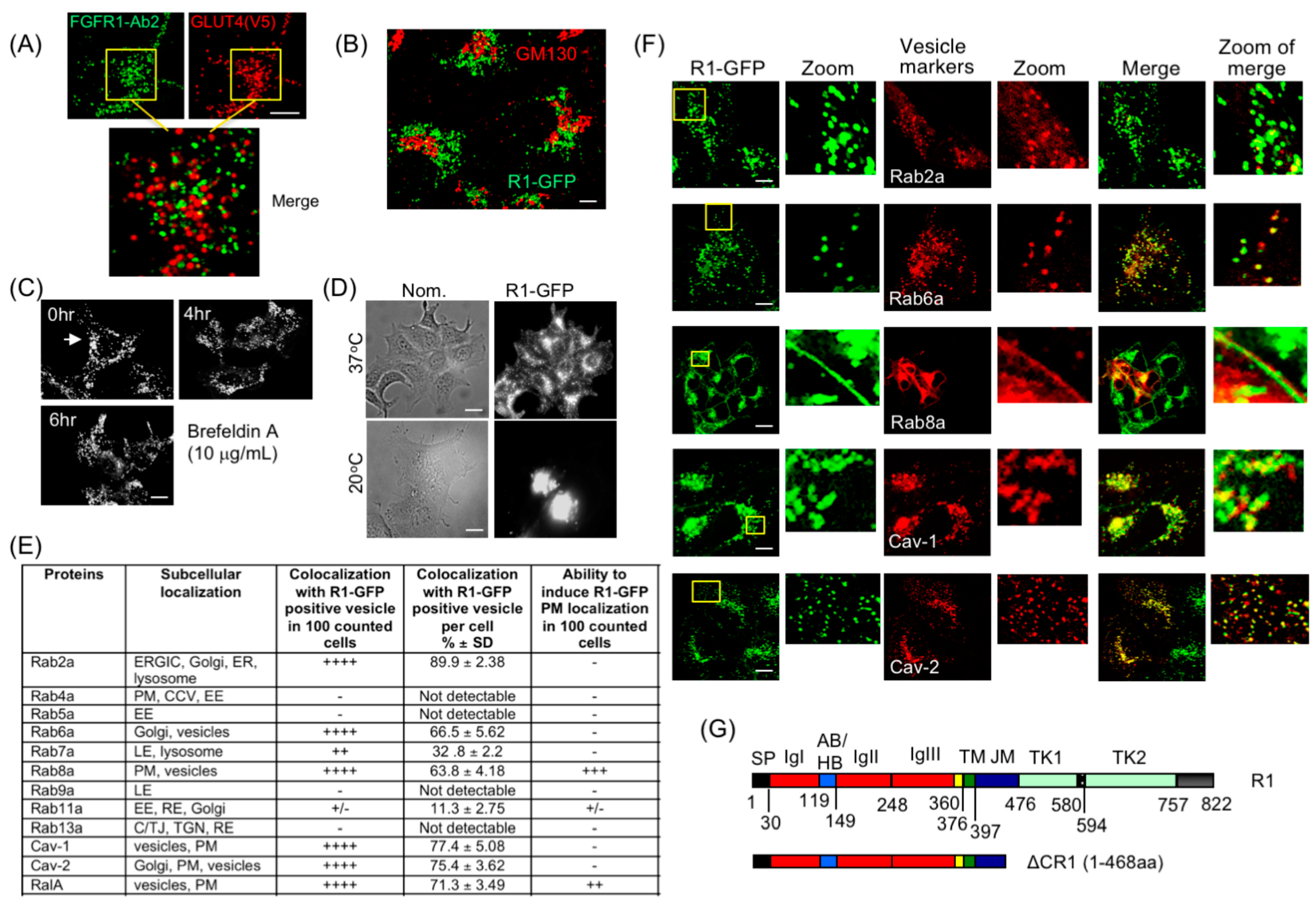 Cancers 15 05837 g002
