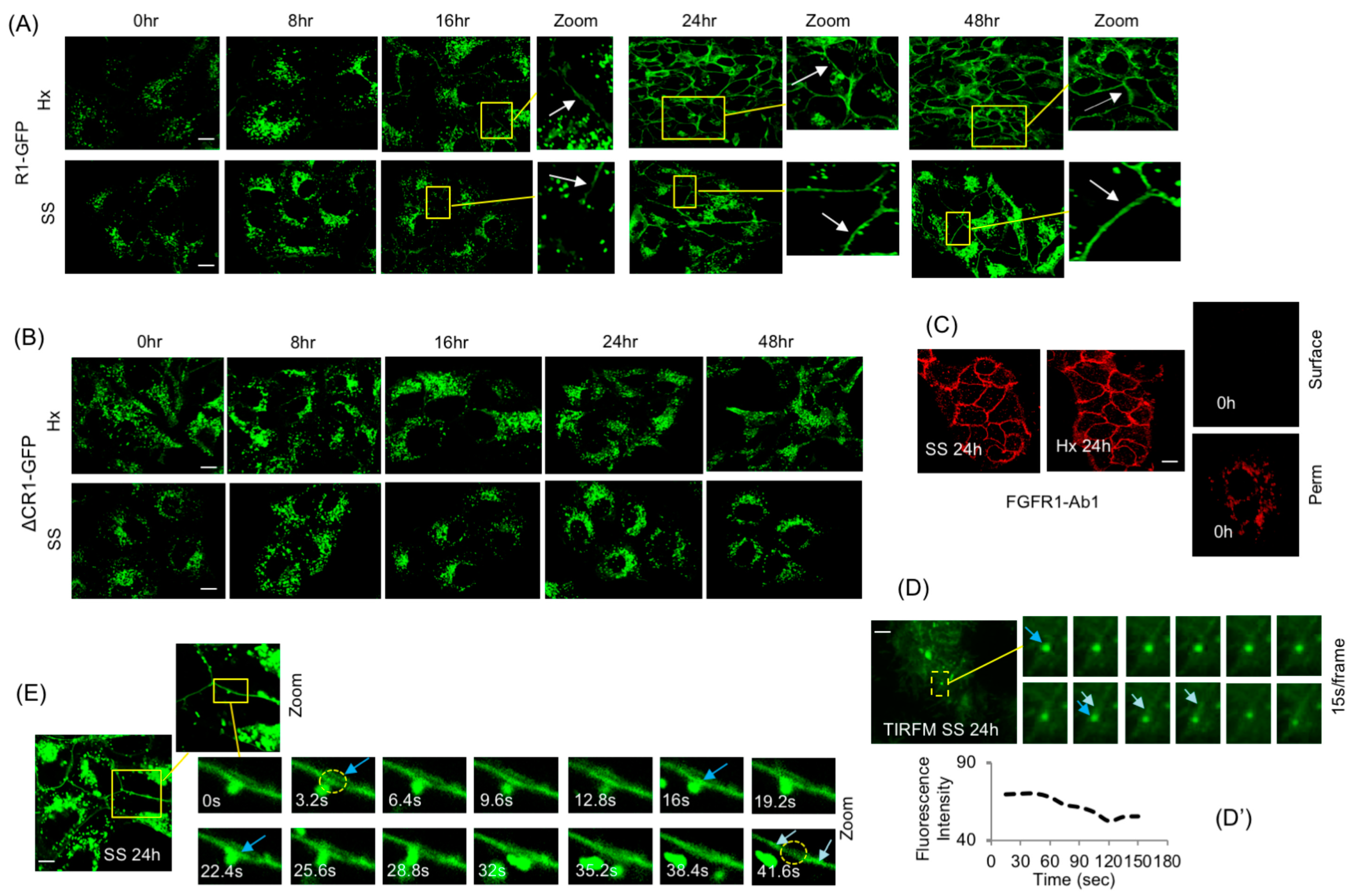 Cancers 15 05837 g003