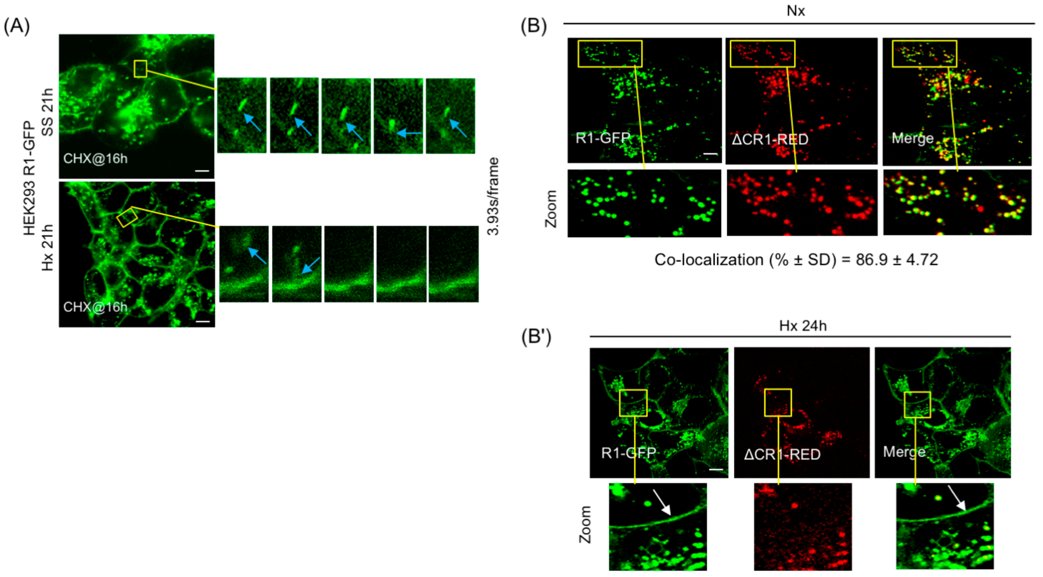Cancers 15 05837 g004