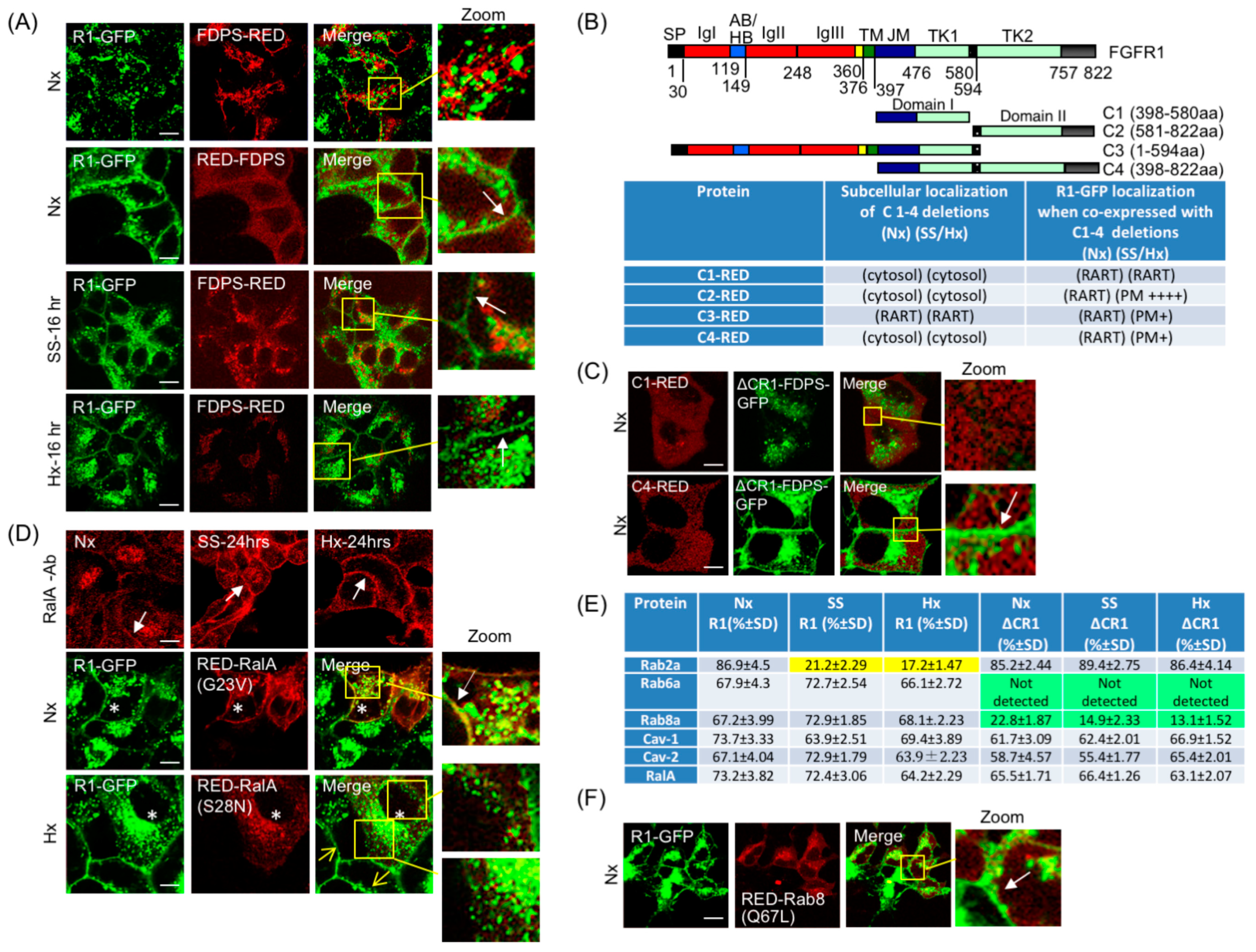 Cancers 15 05837 g005