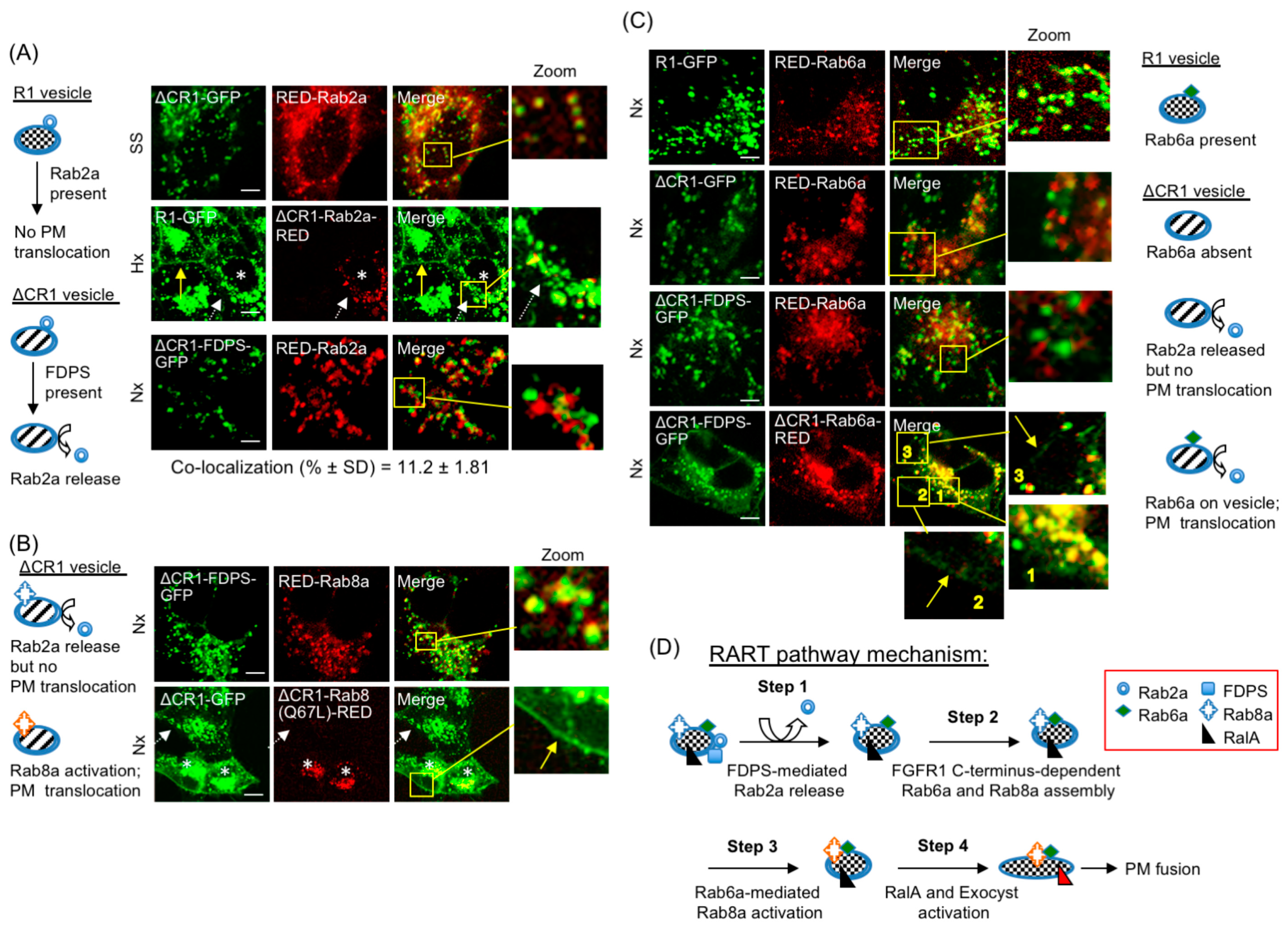 Cancers 15 05837 g006