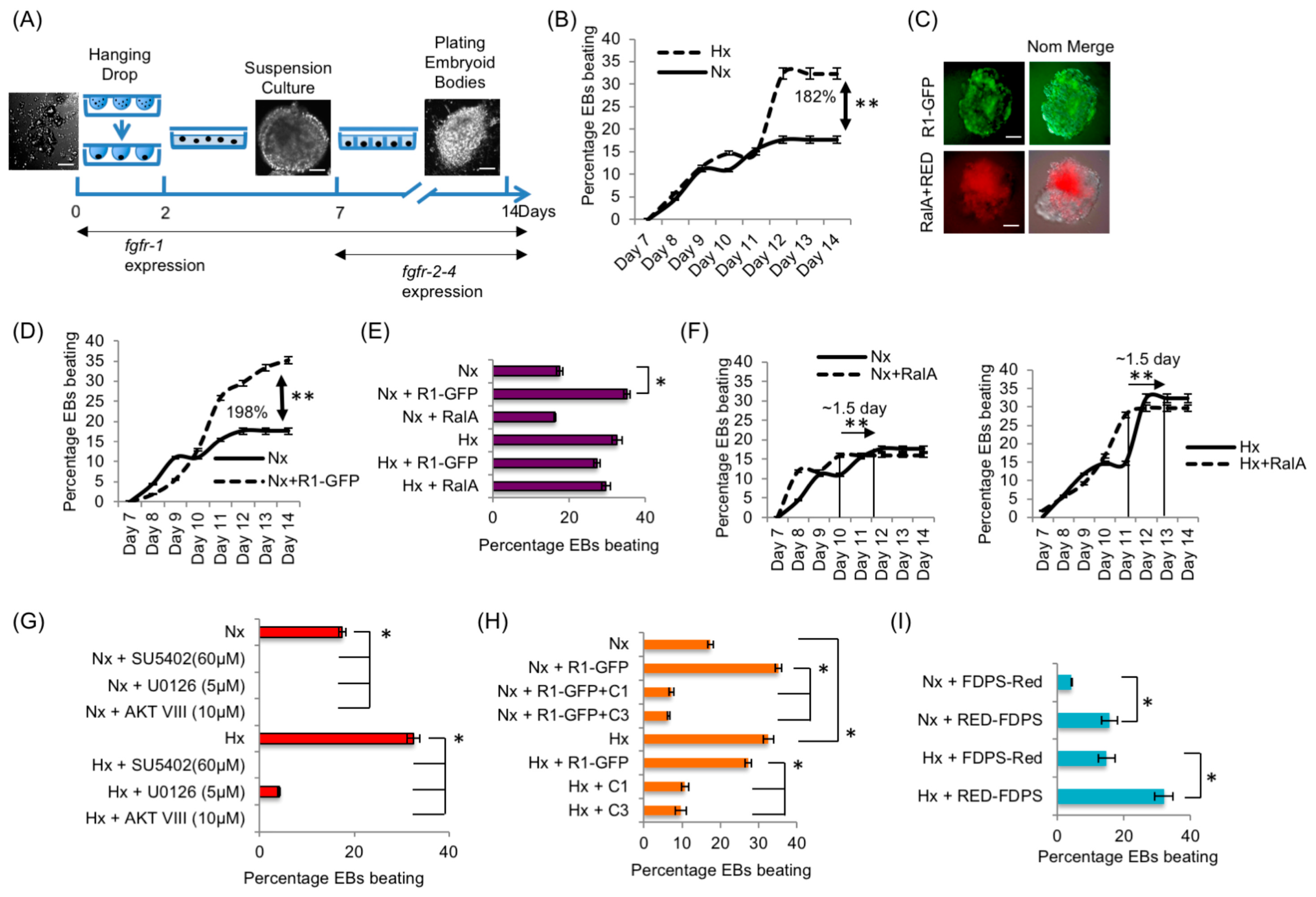 Cancers 15 05837 g007