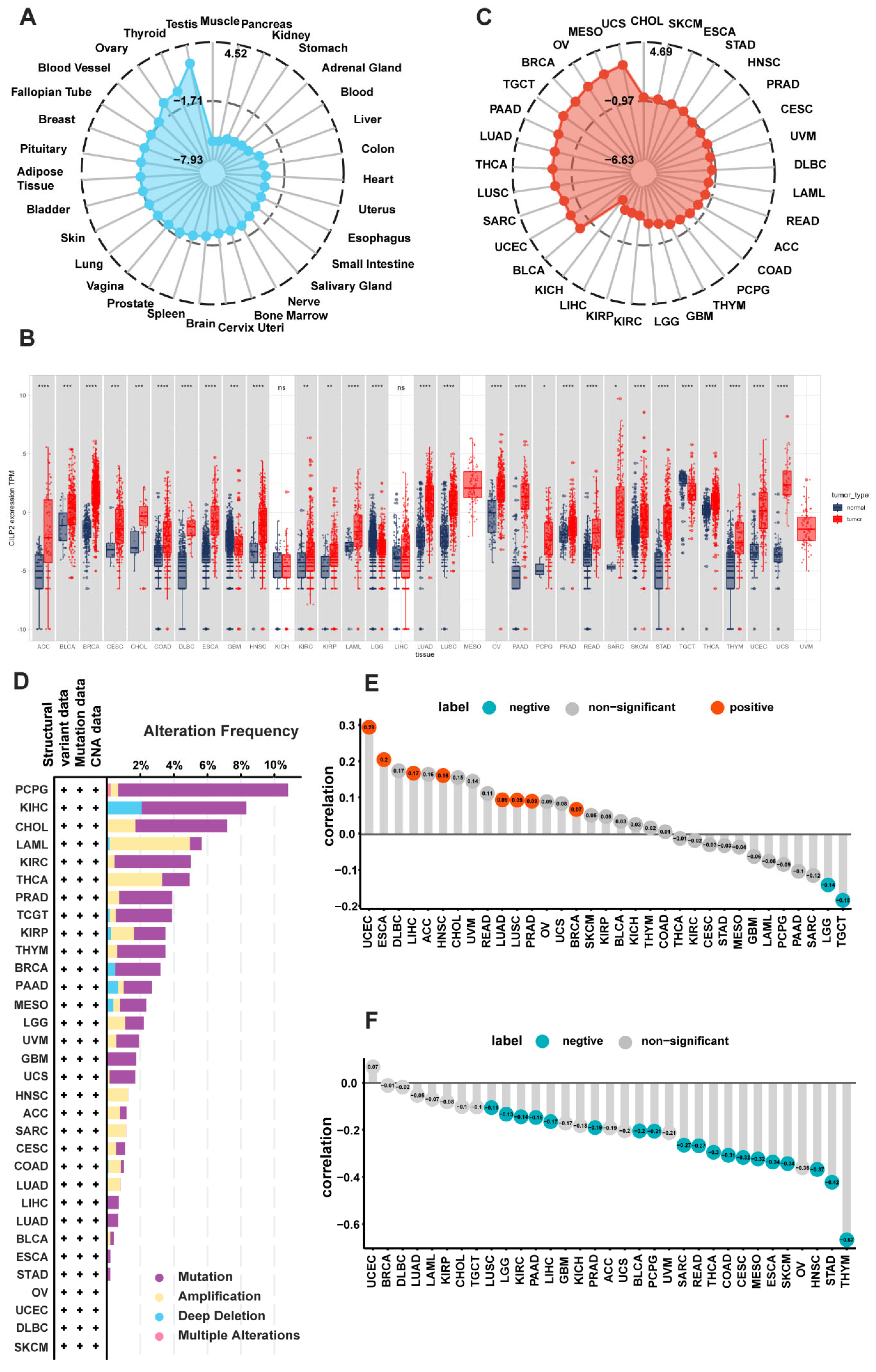 Cancers 15 05842 g001