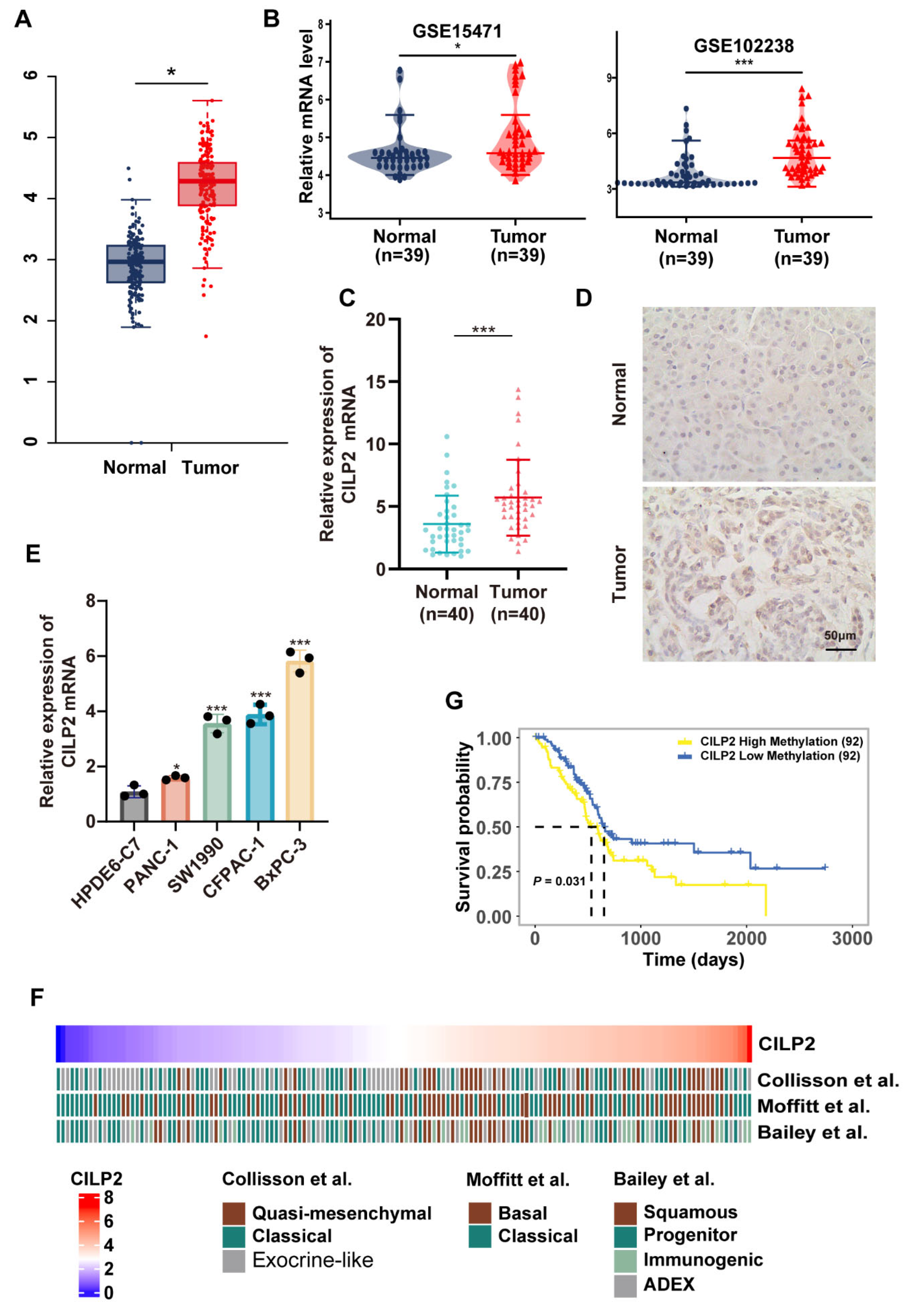 Cancers 15 05842 g004