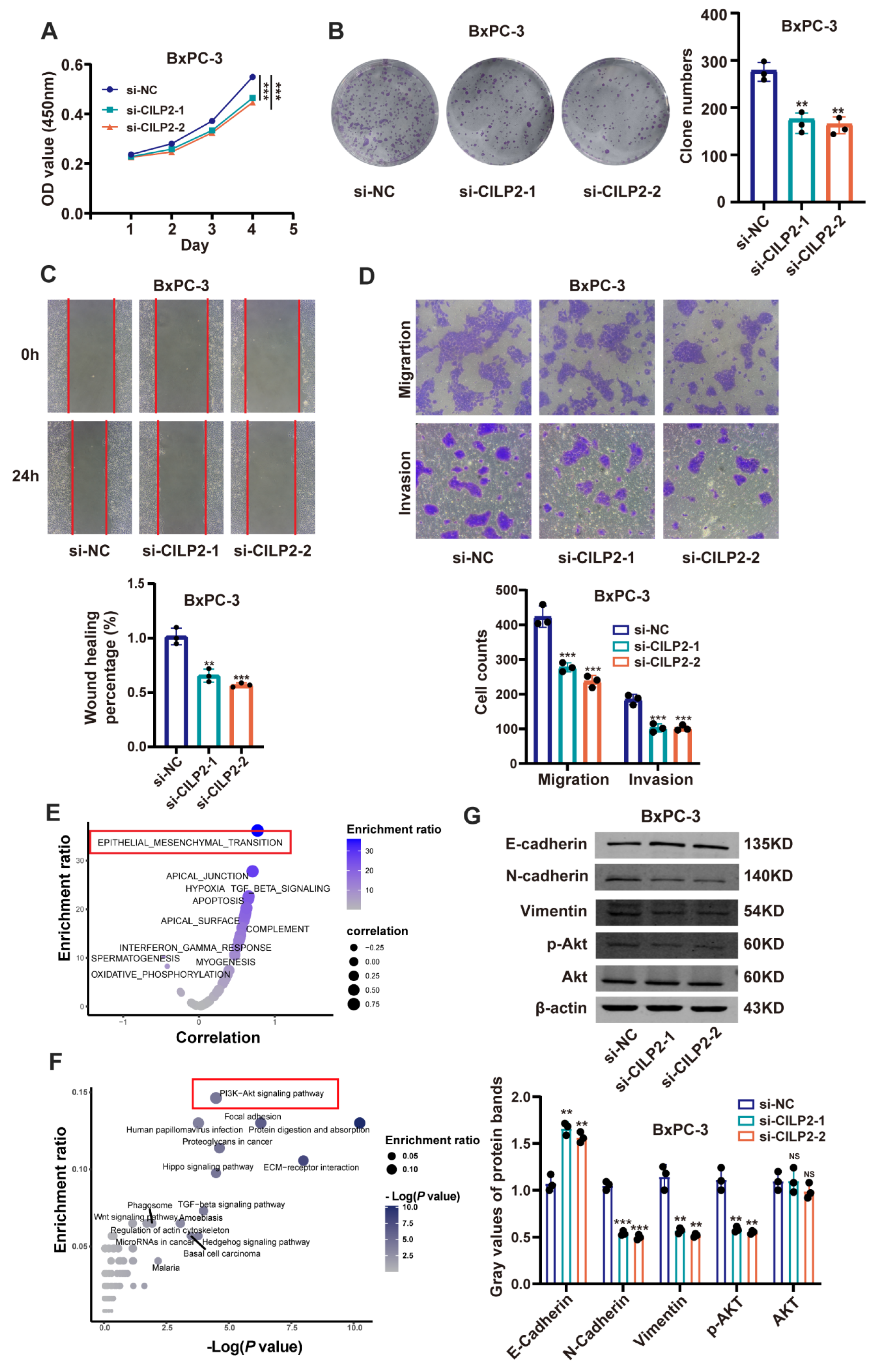 Cancers 15 05842 g005