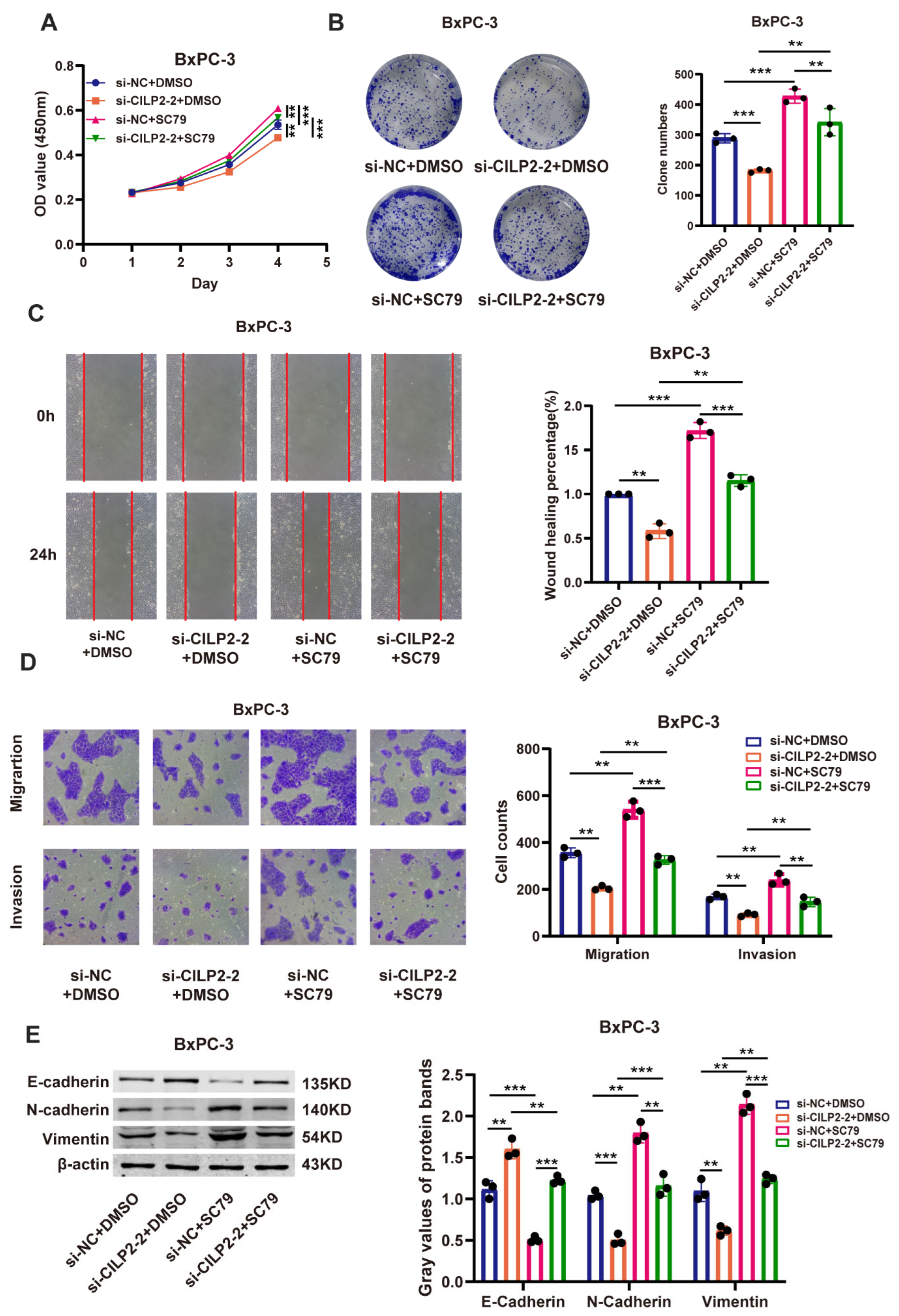 Cancers 15 05842 g006