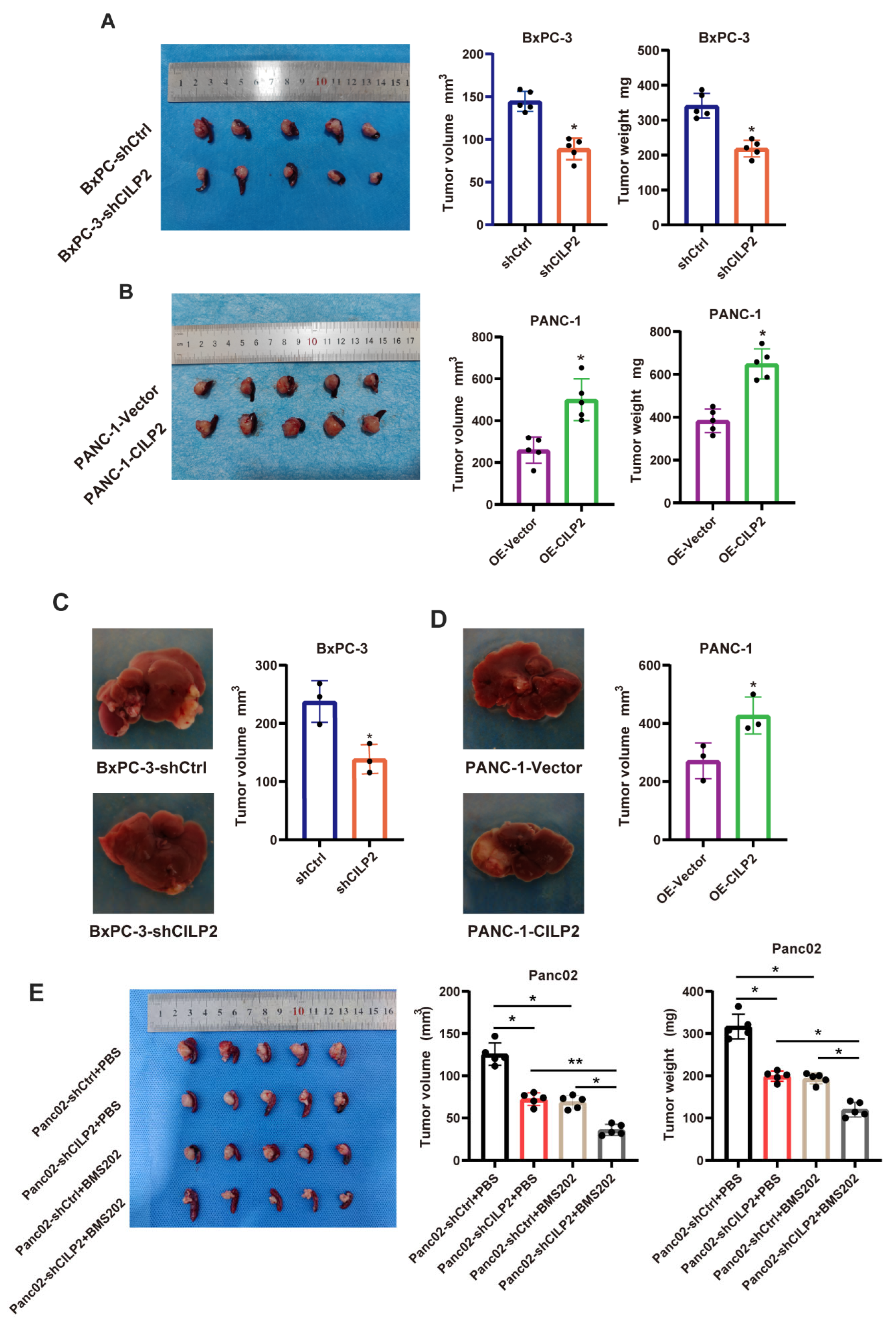 Cancers 15 05842 g007