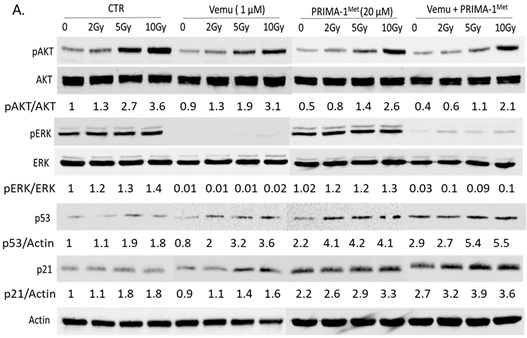 Cancers 15 05860 i001