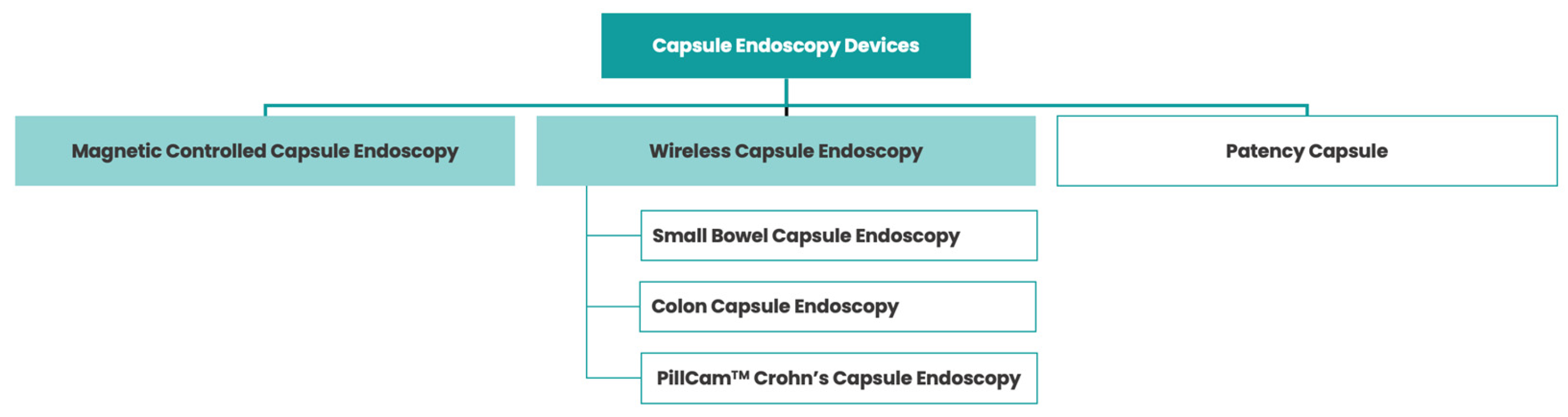 Cancers 15 05861 g001